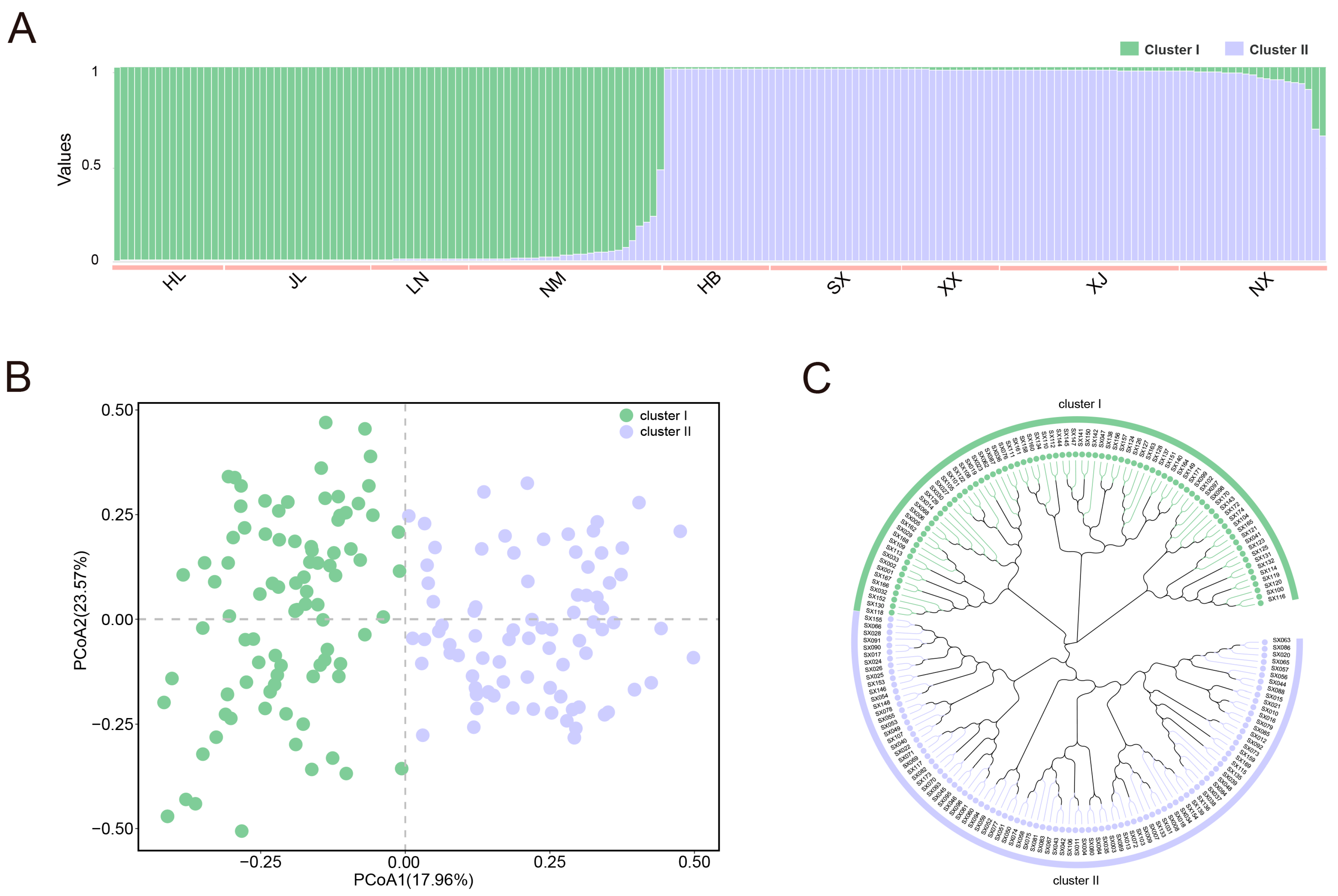 Plants 13 02794 g005