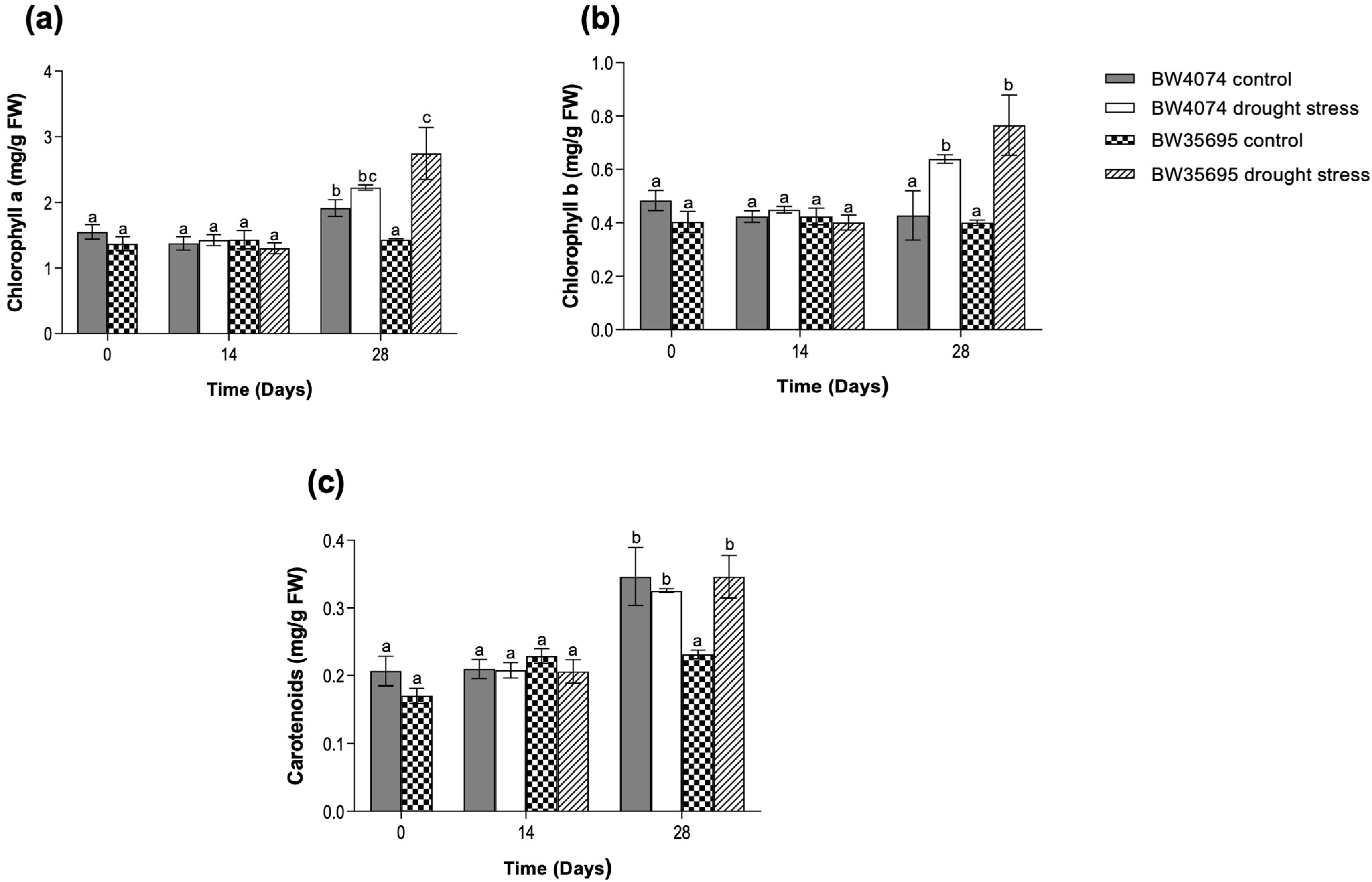 Plants 13 02797 g002