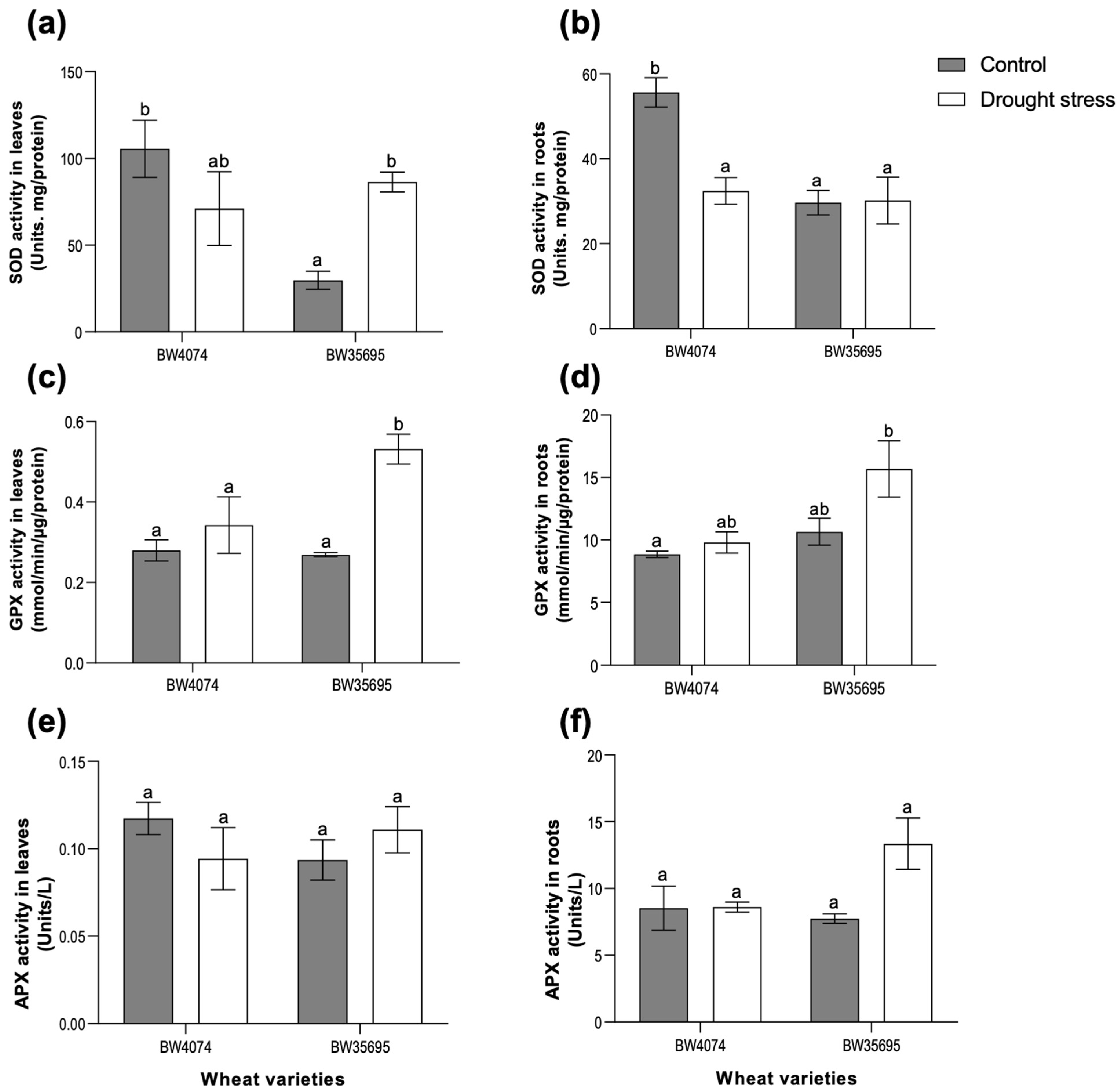 Plants 13 02797 g005