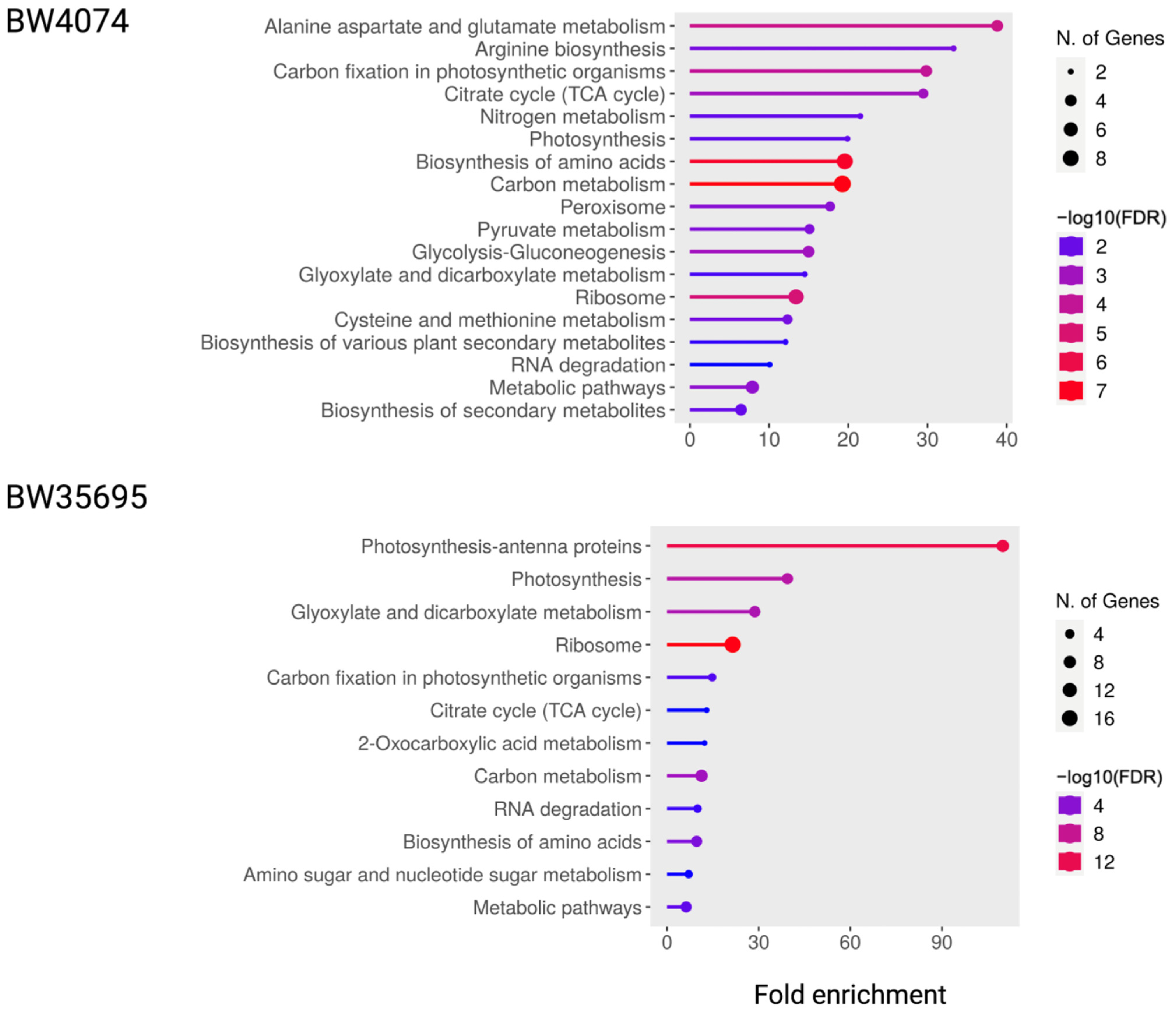 Plants 13 02797 g009