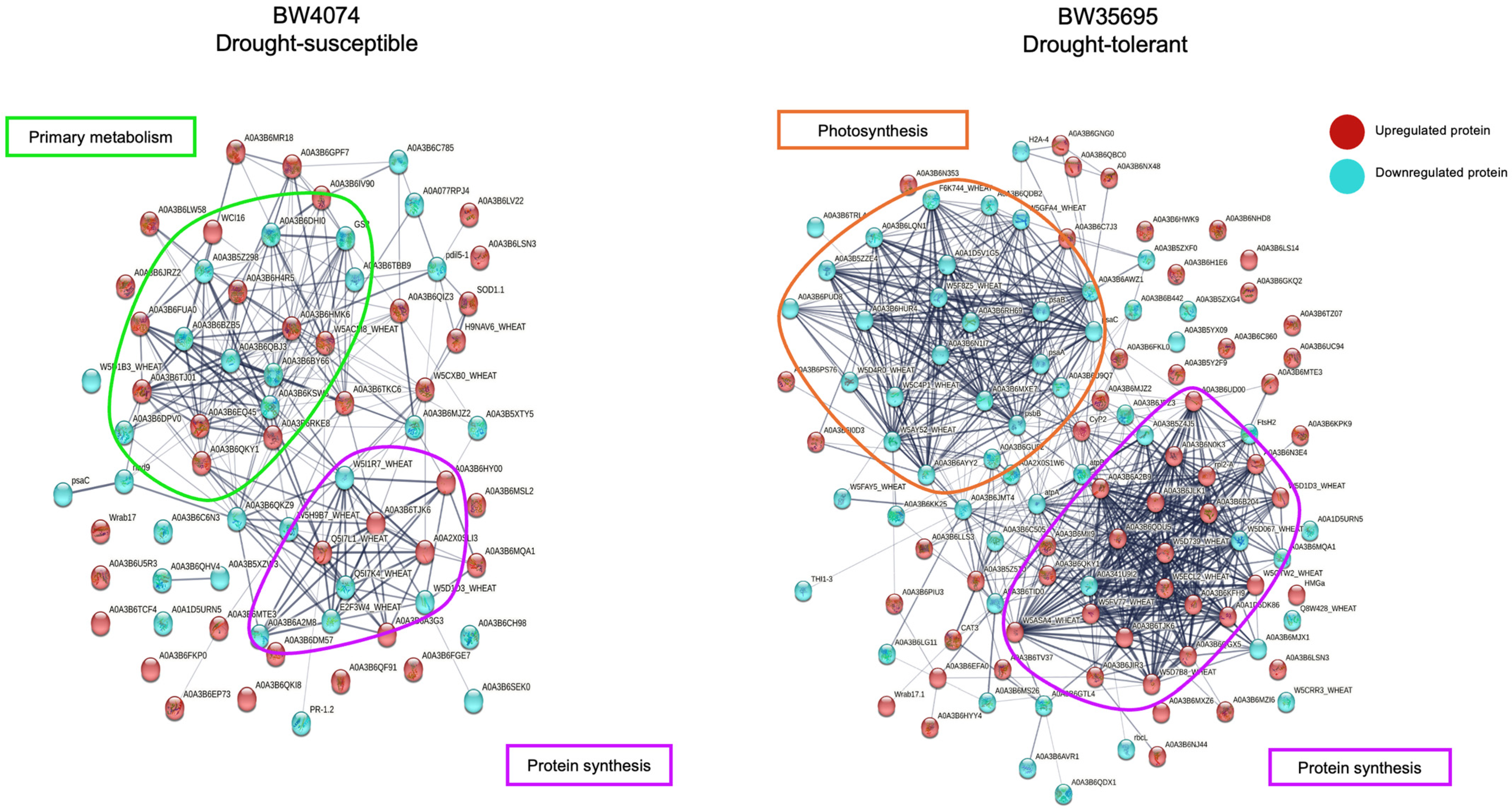 Plants 13 02797 g010