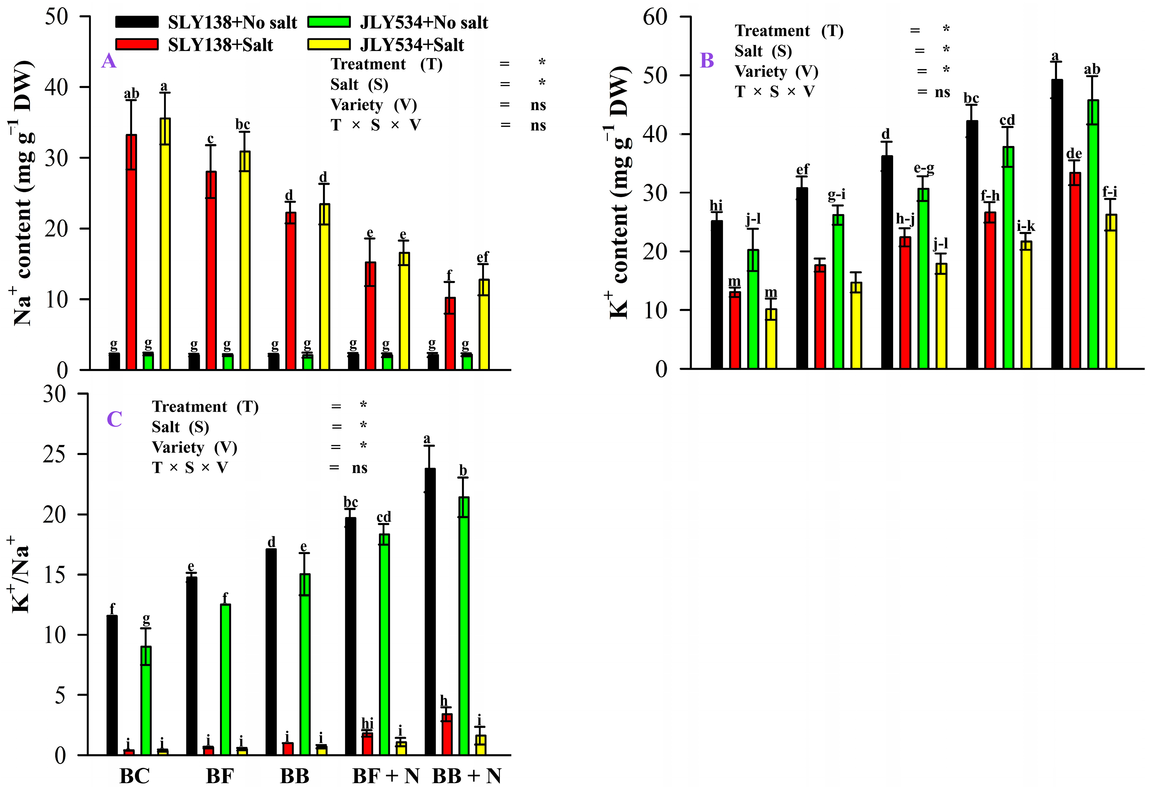 Plants 13 02804 g002