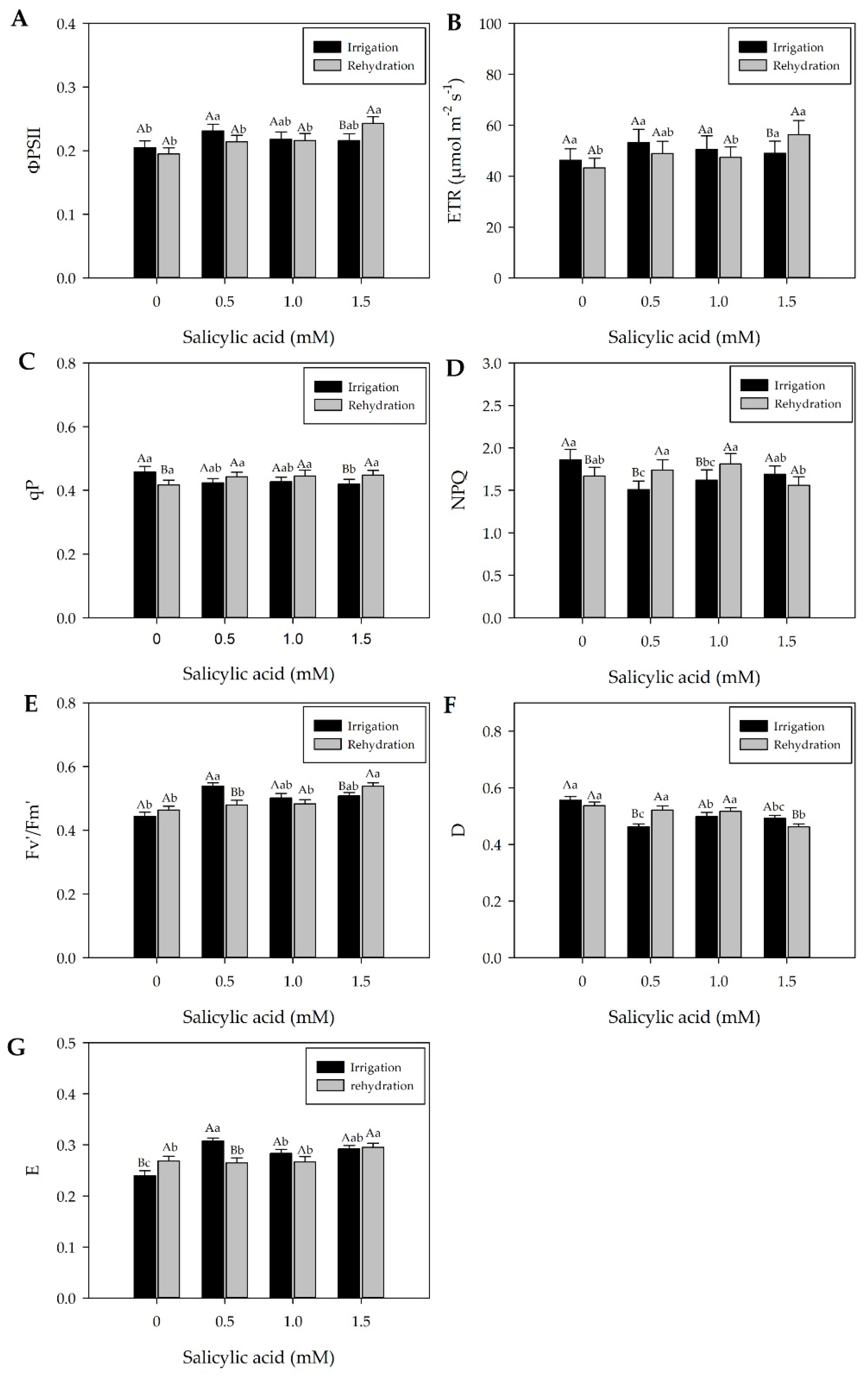 Plants 13 02805 g004