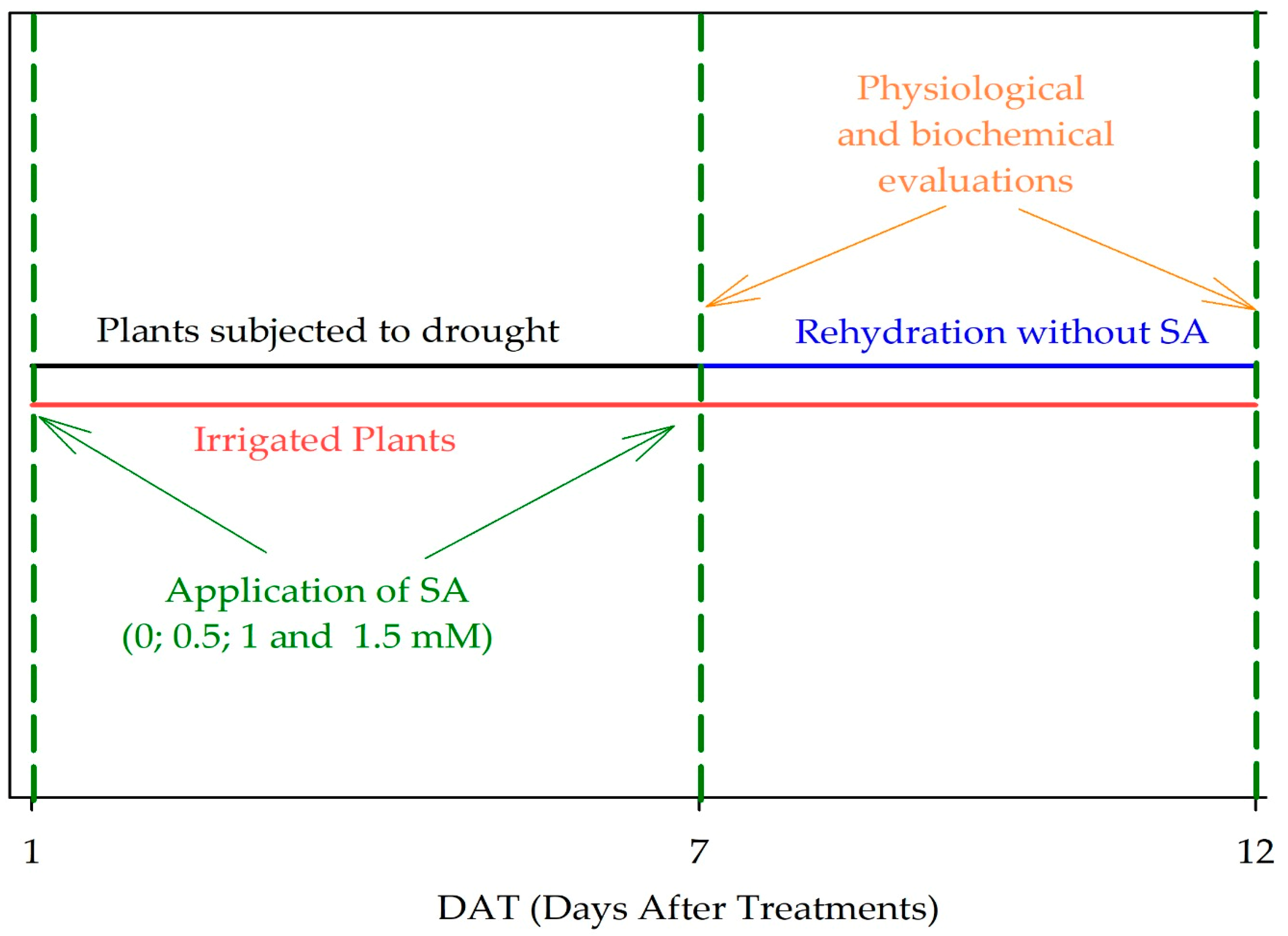 Plants 13 02805 g006