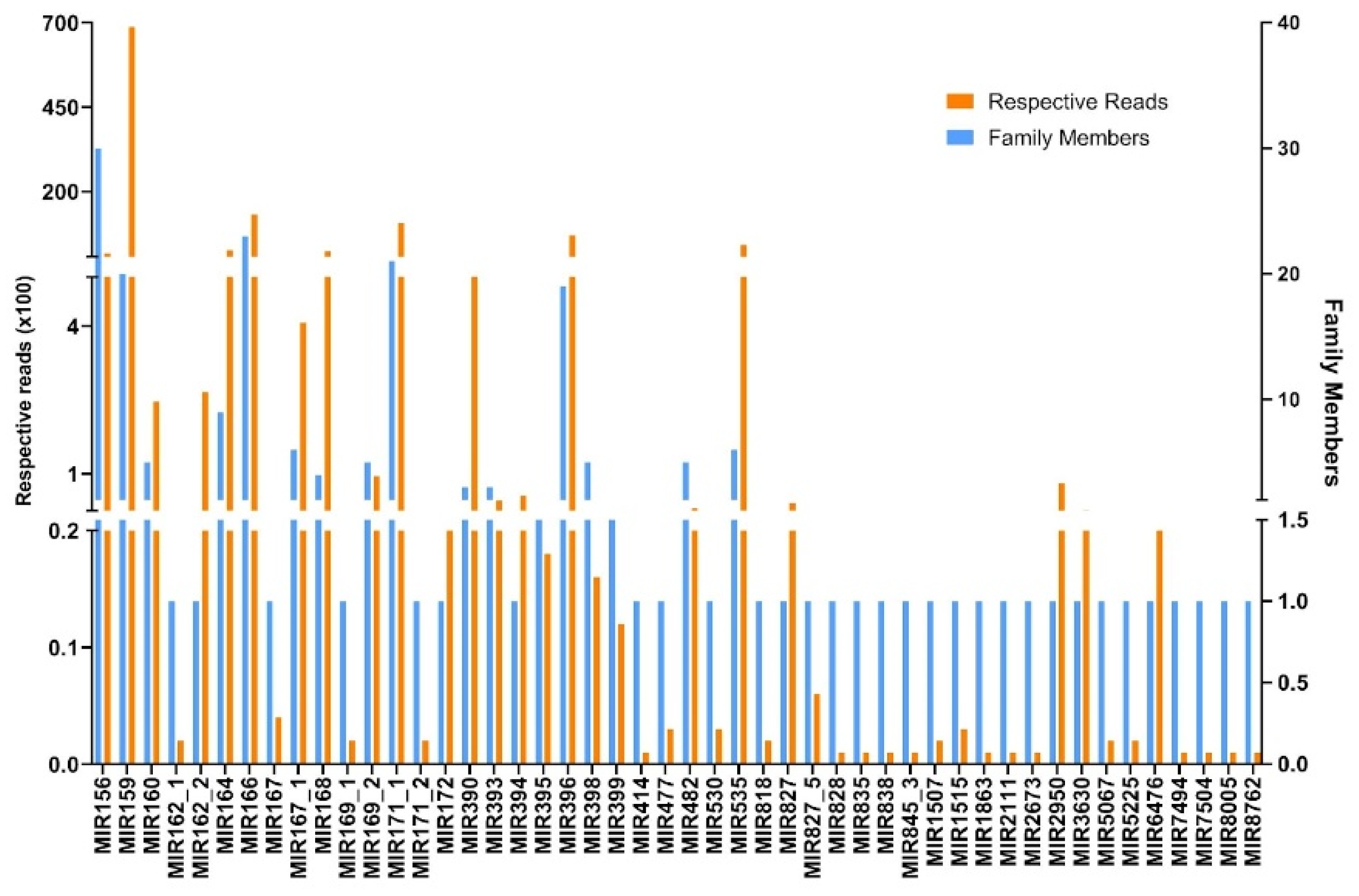 Plants 13 02806 g002