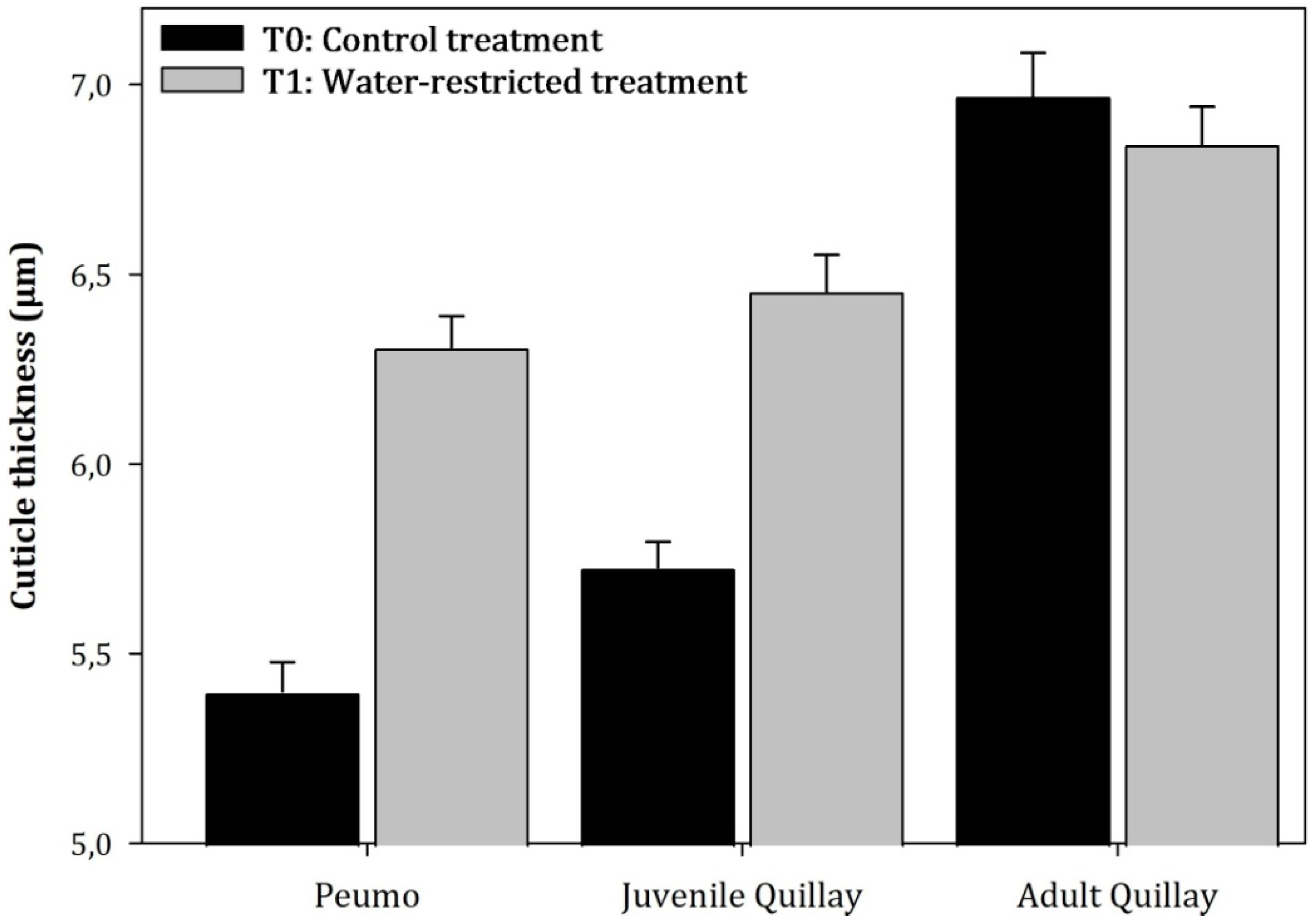 Plants 13 02812 g005