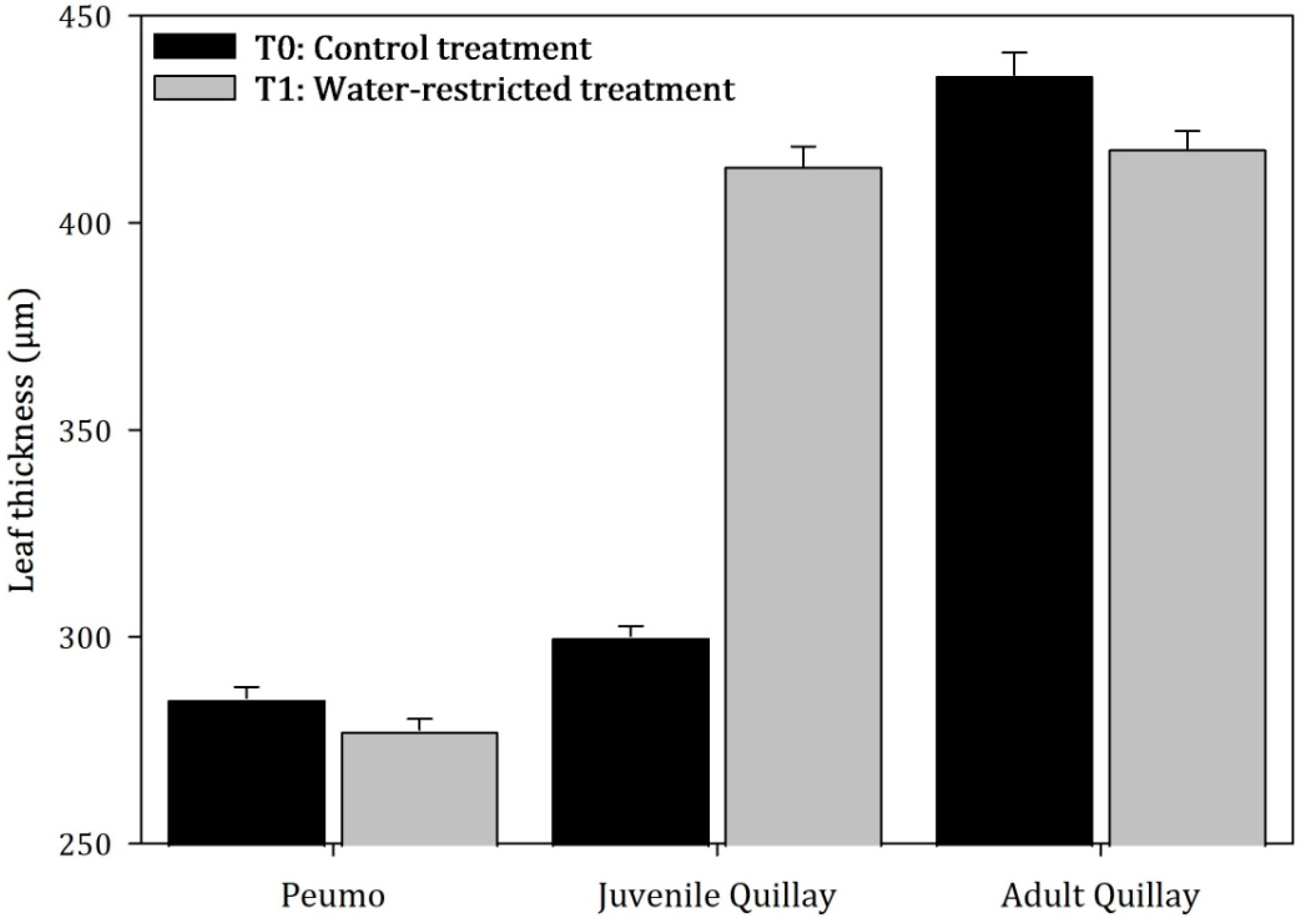 Plants 13 02812 g006