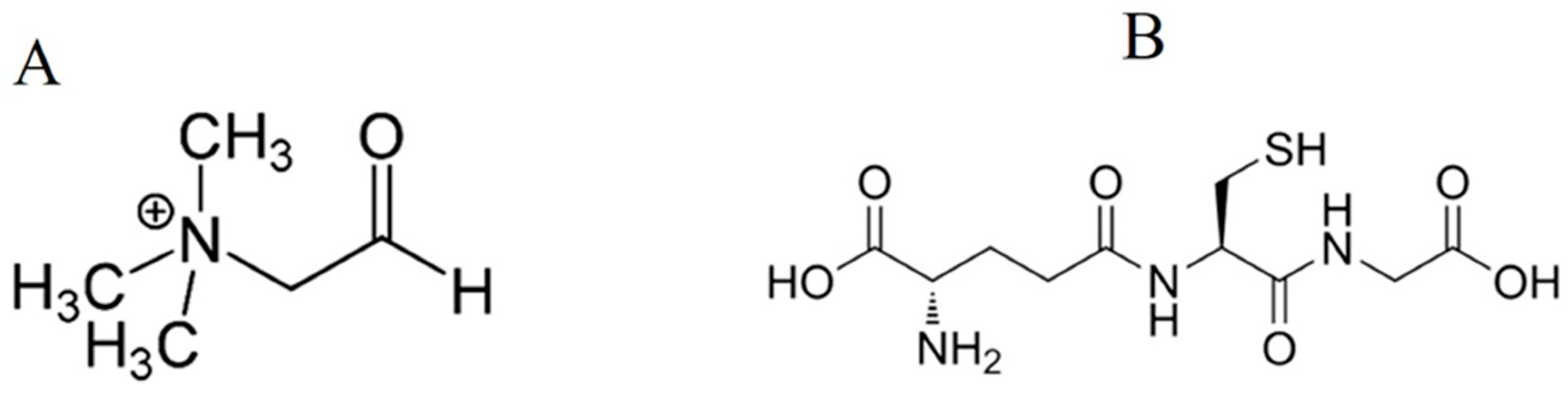 Plants 13 02813 g002 Plants 13 02813 g002