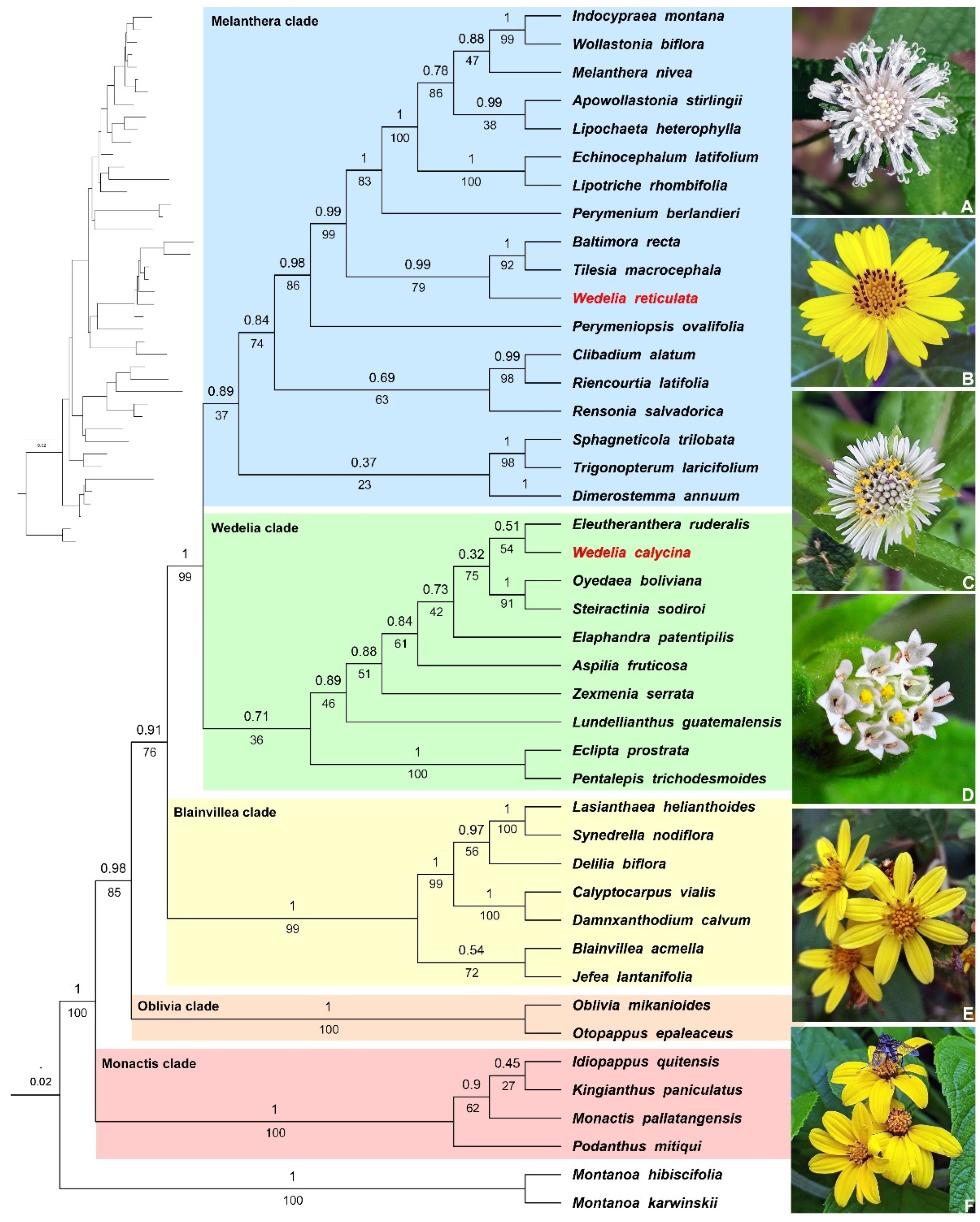 Plants 13 02817 g001