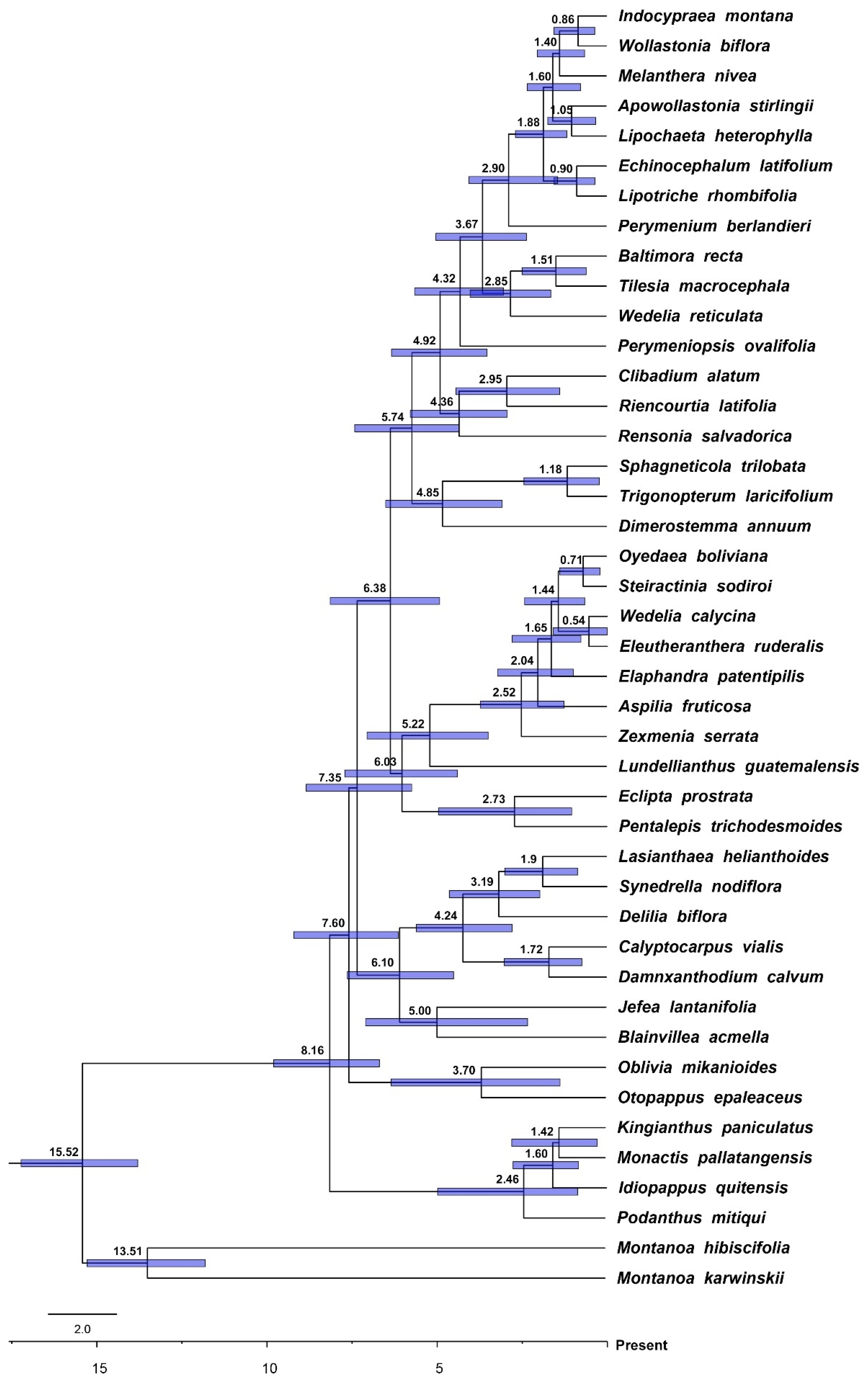 Plants 13 02817 g003