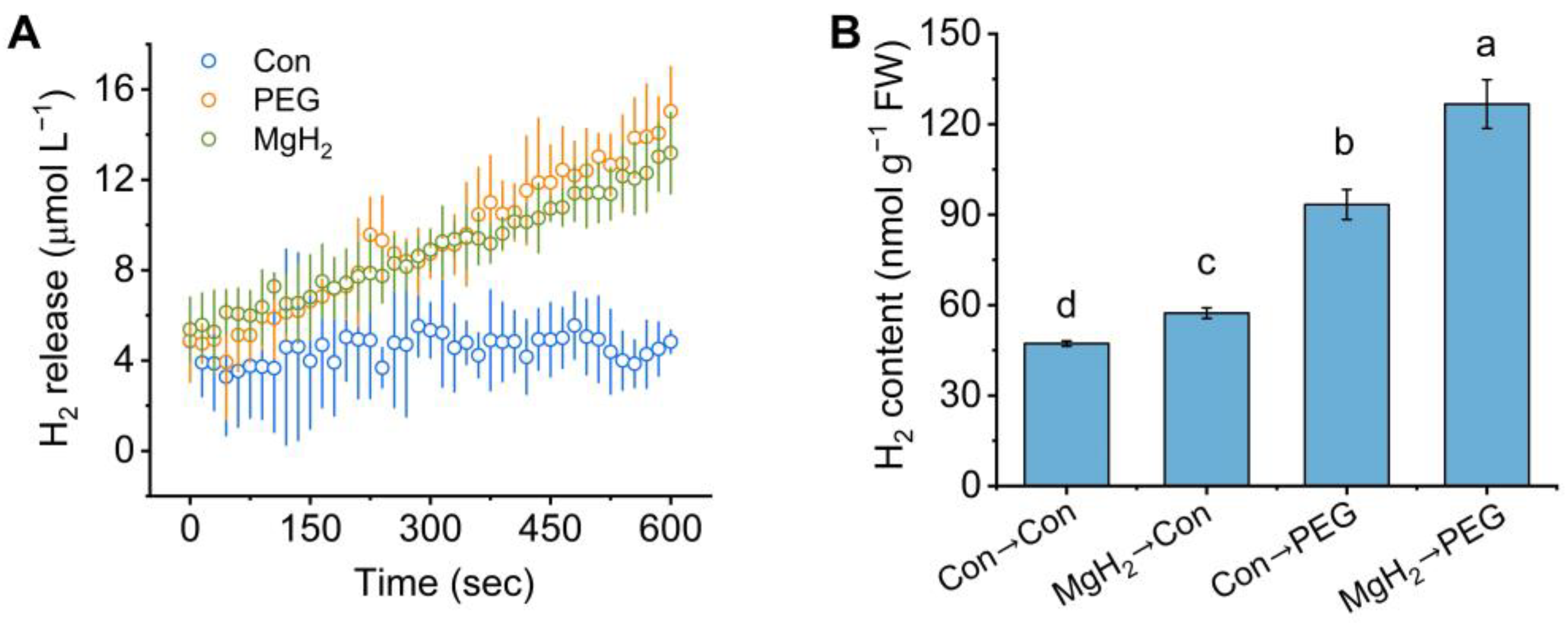 Plants 13 02819 g003