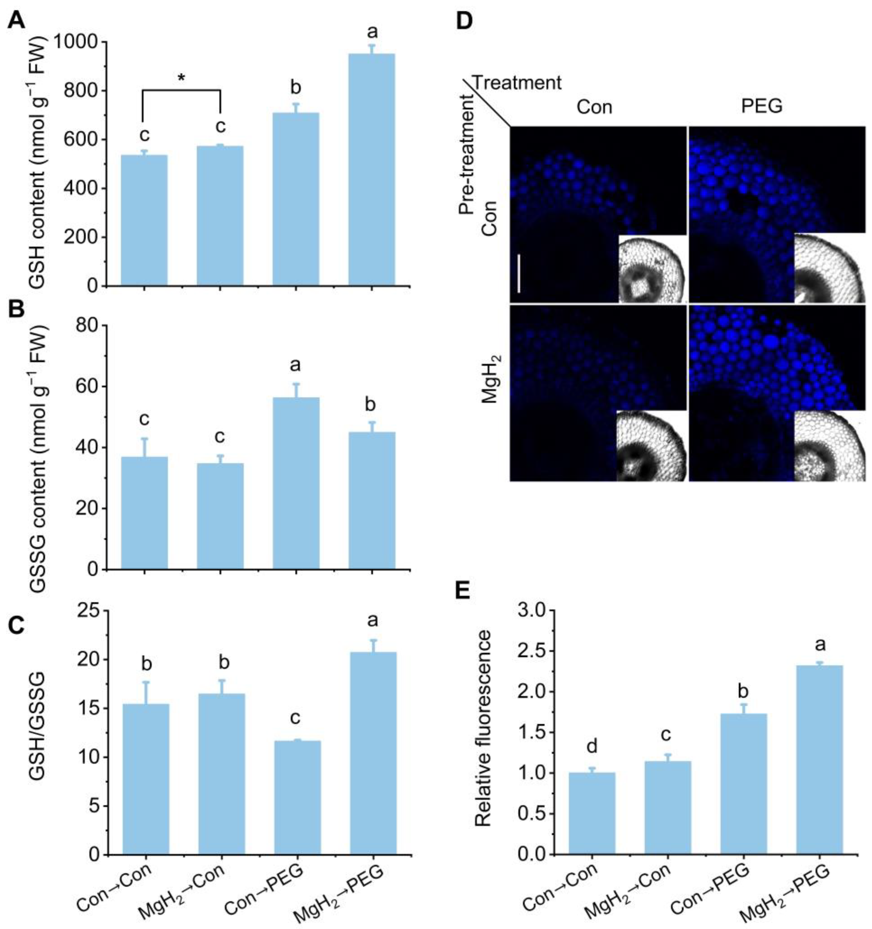 Plants 13 02819 g009