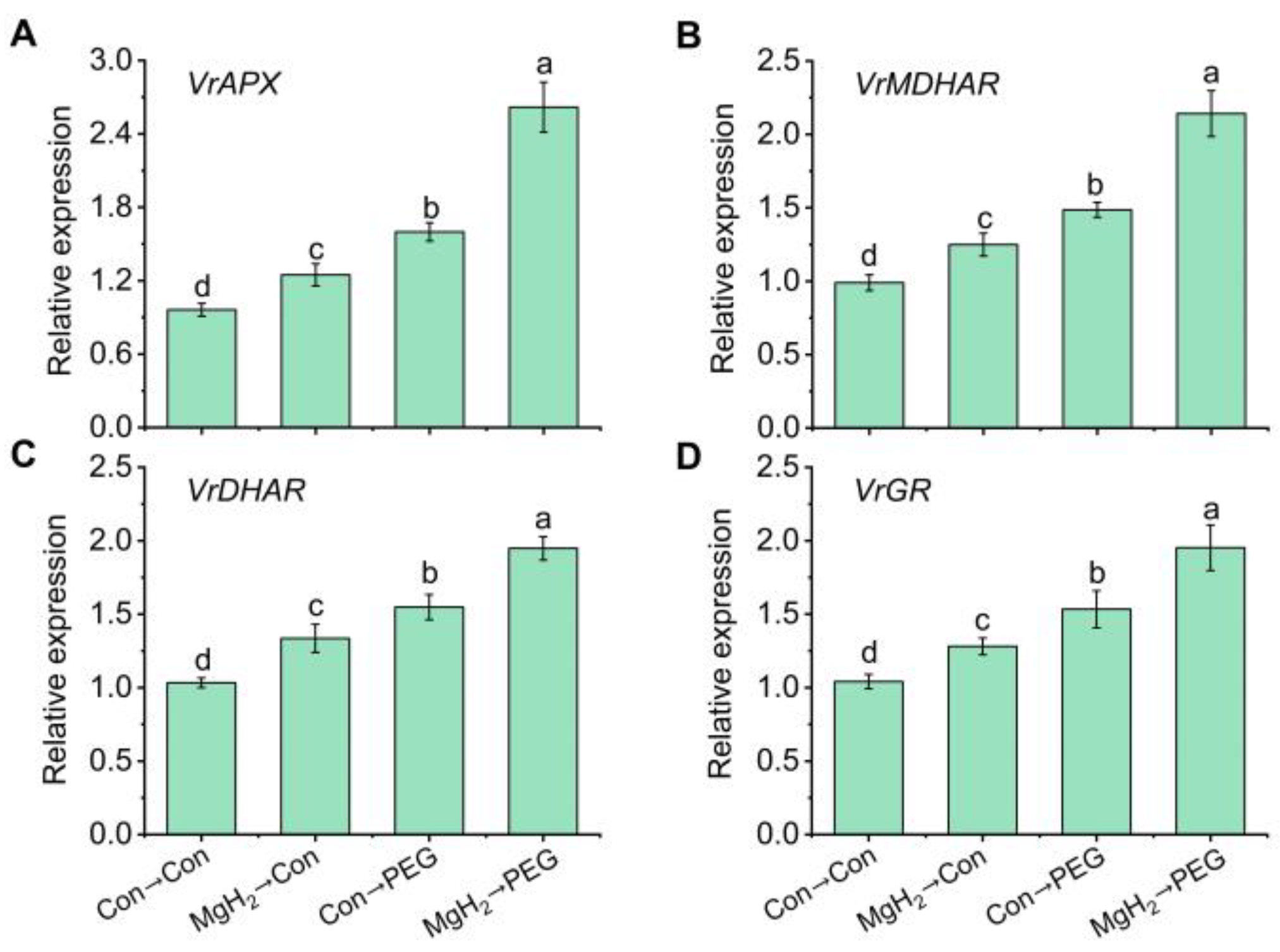 Plants 13 02819 g011