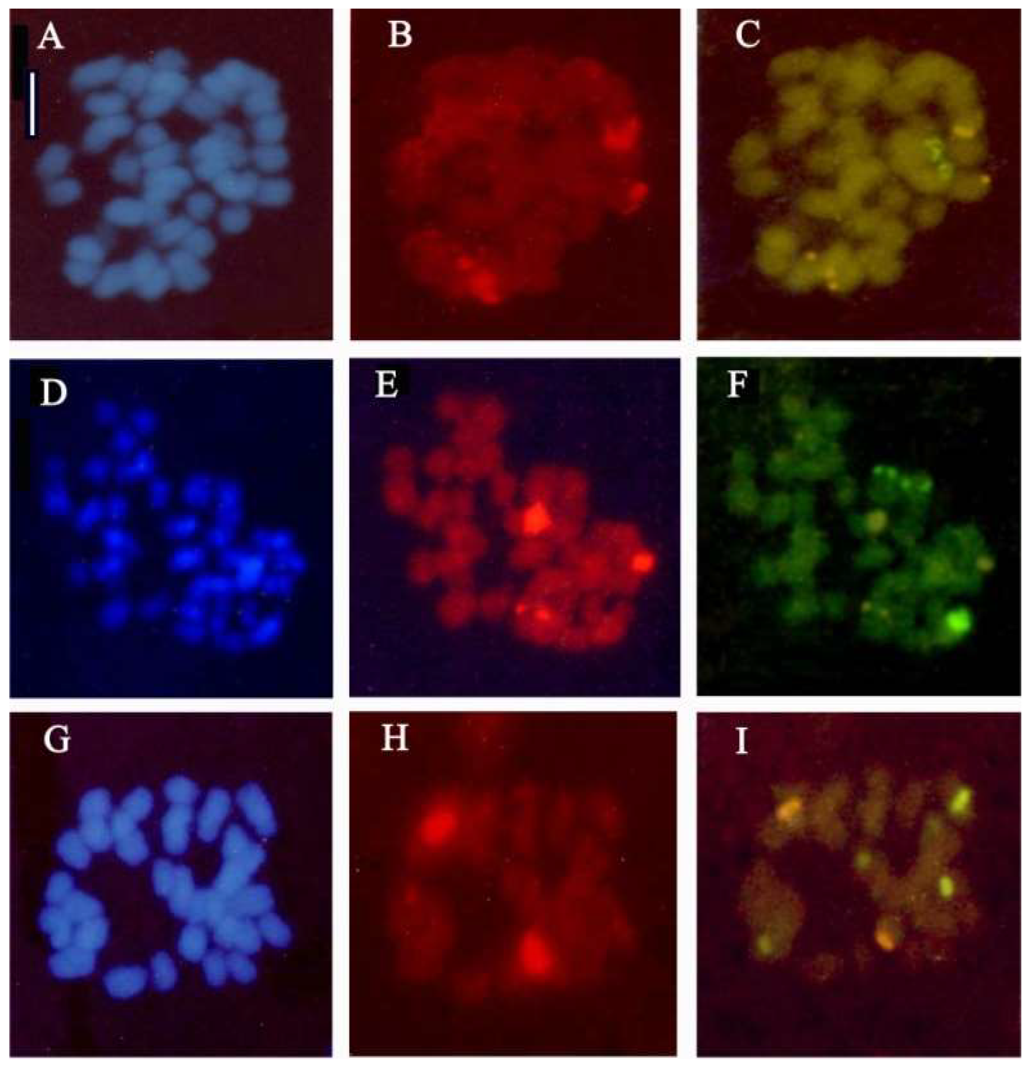 Plants 13 02838 g005 Plants 13 02838 g005