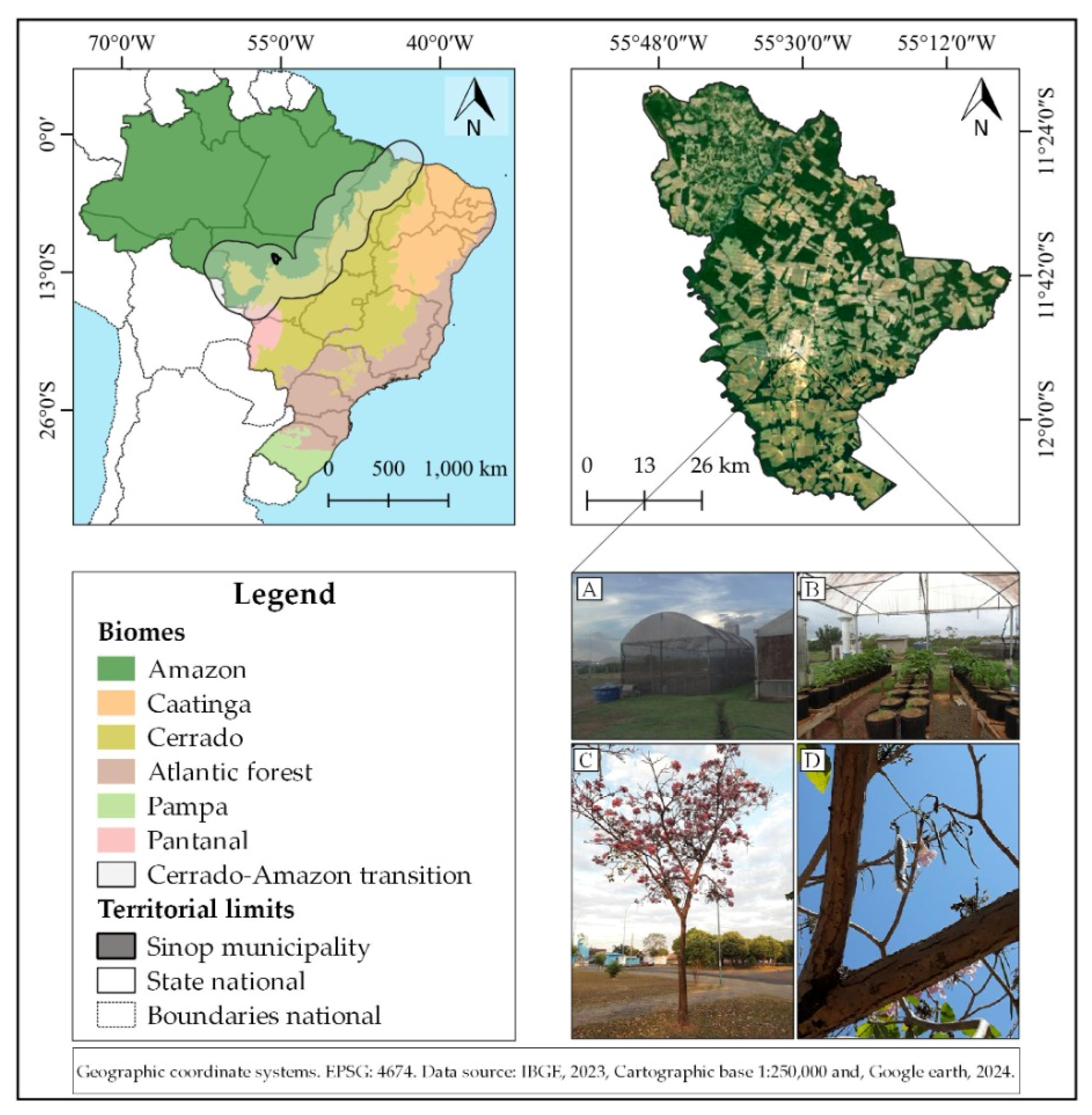 Plants 13 02850 g001 Plants 13 02850 g001