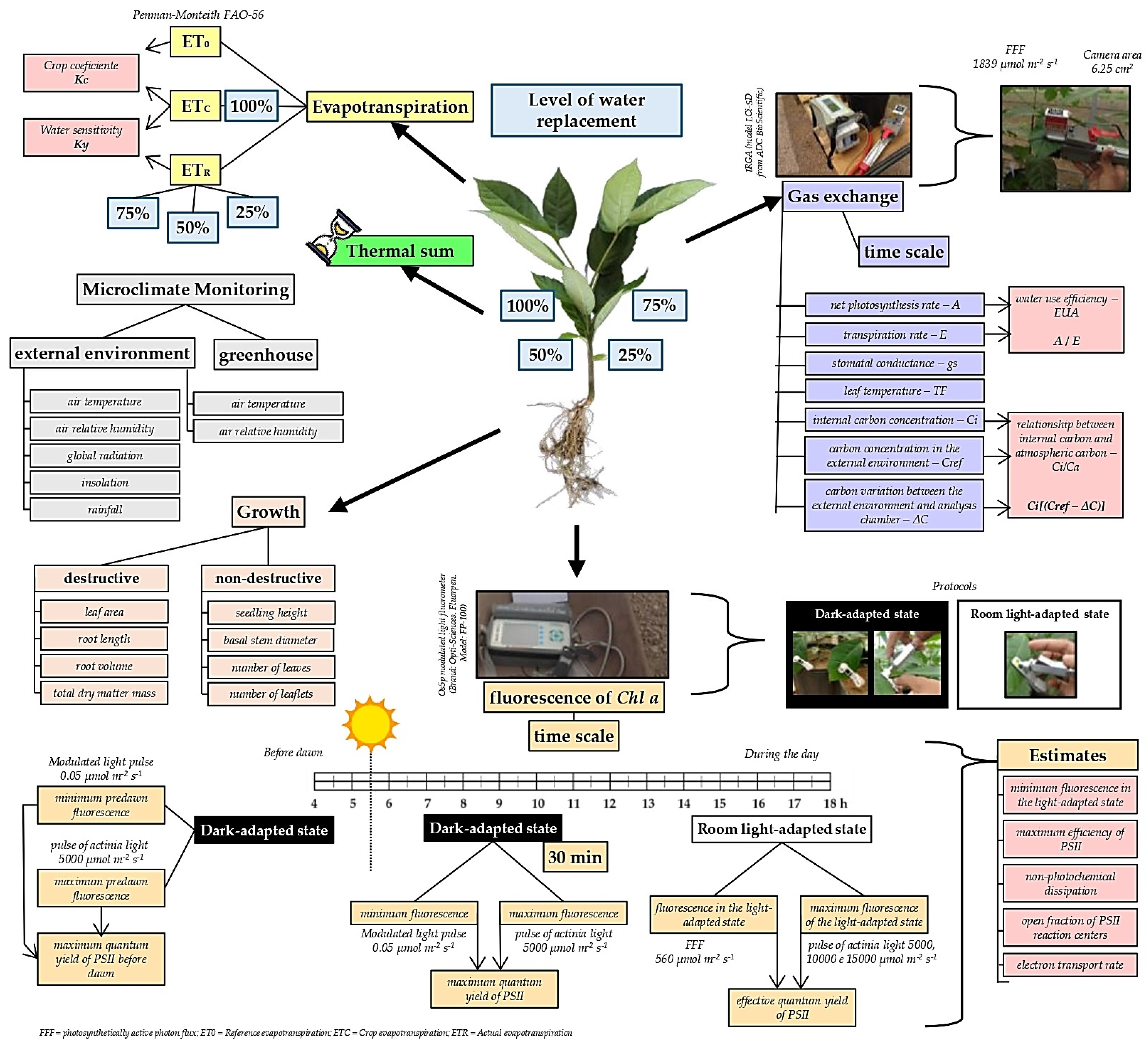 Plants 13 02850 g002 Plants 13 02850 g002