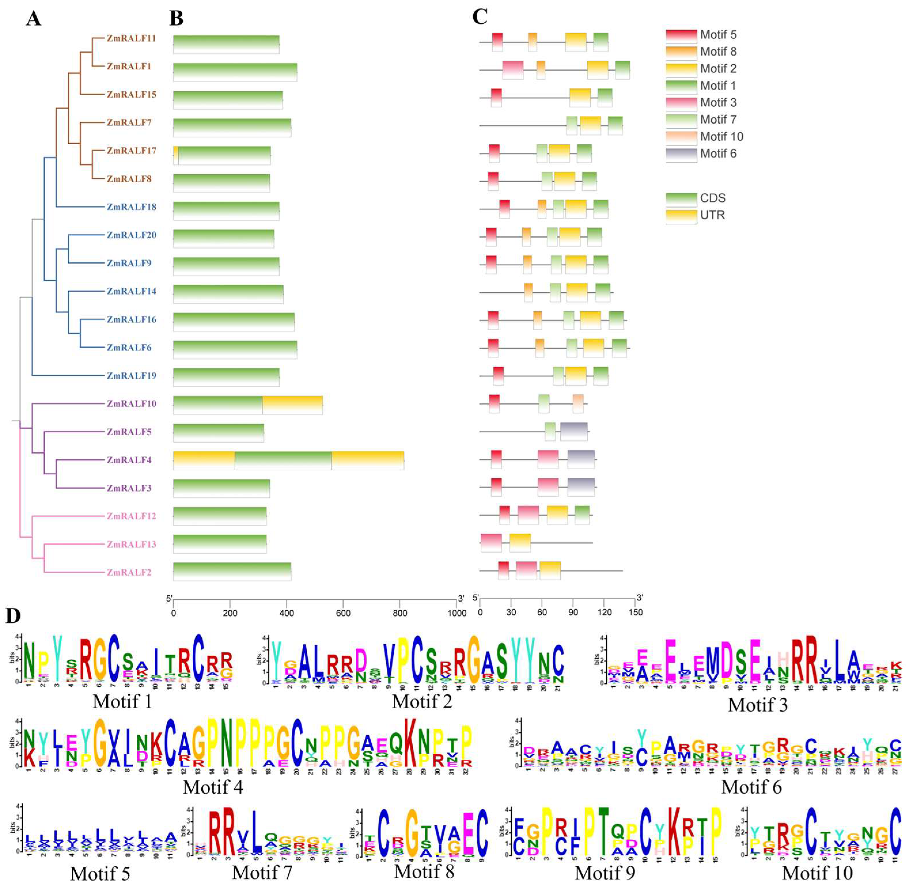 Plants 13 02883 g004