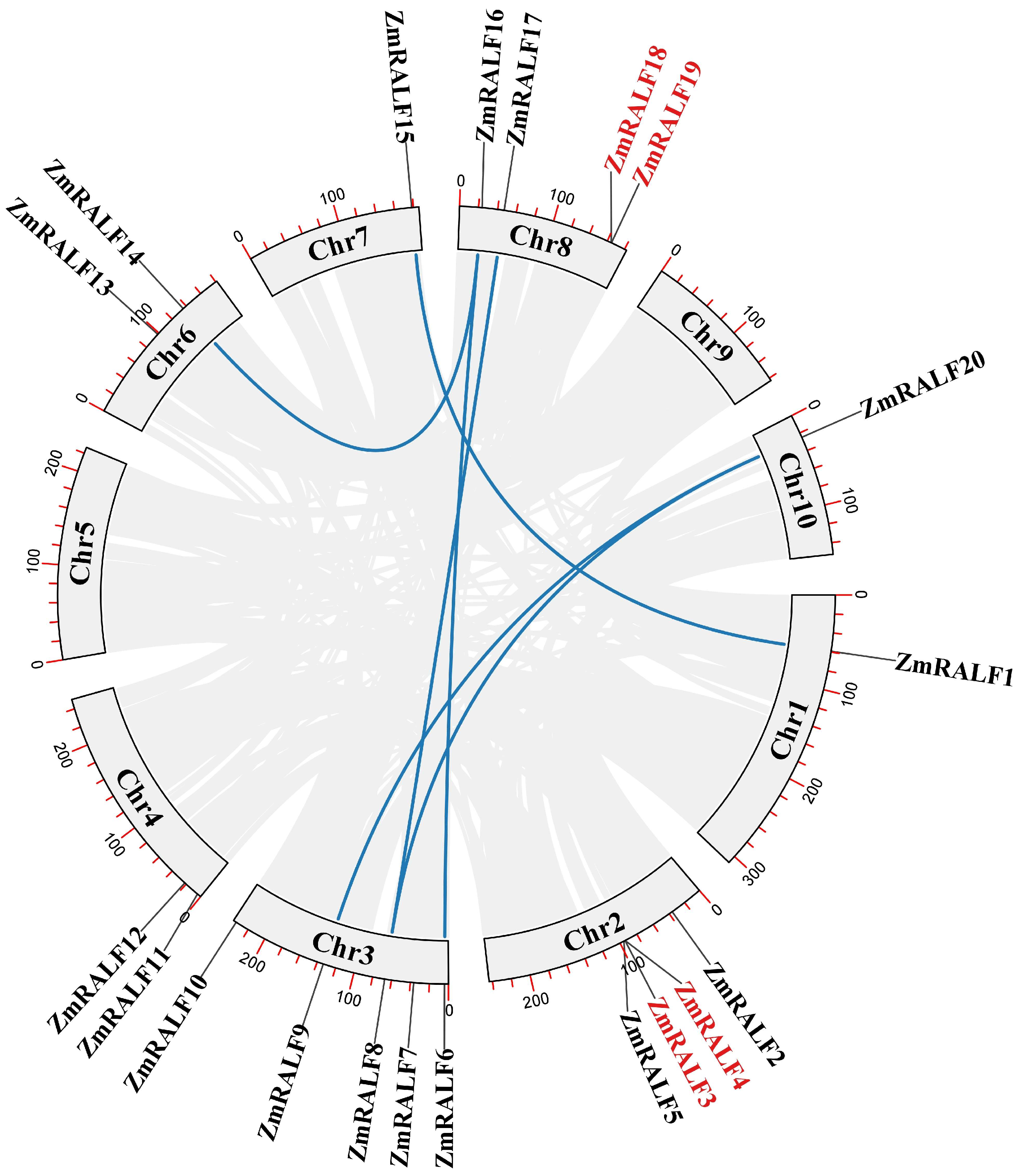 Plants 13 02883 g005