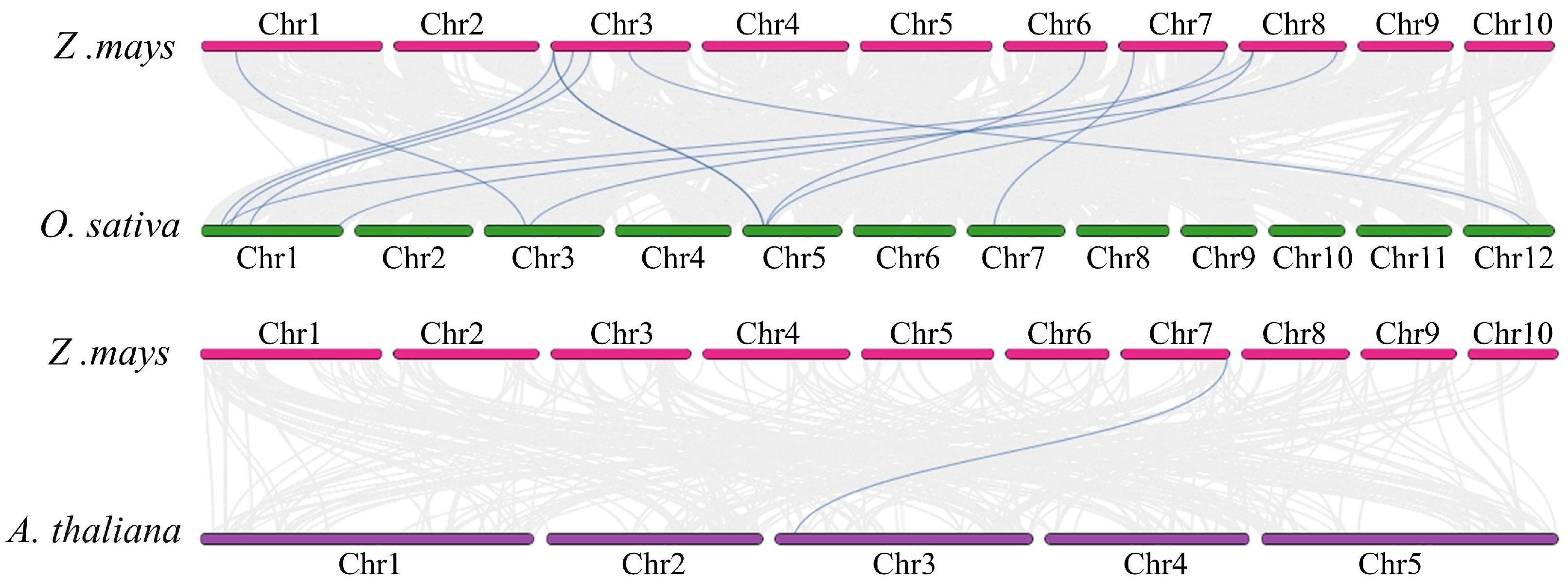 Plants 13 02883 g006