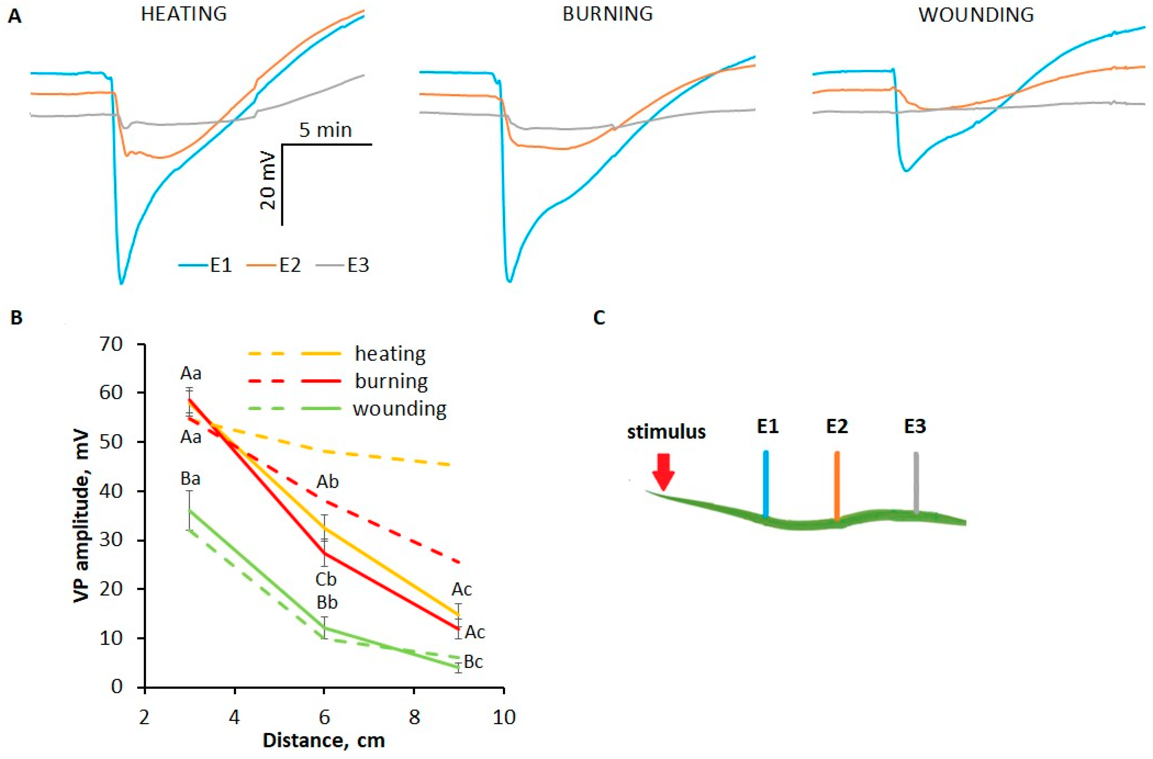 Plants 13 02896 g004 Plants 13 02896 g004