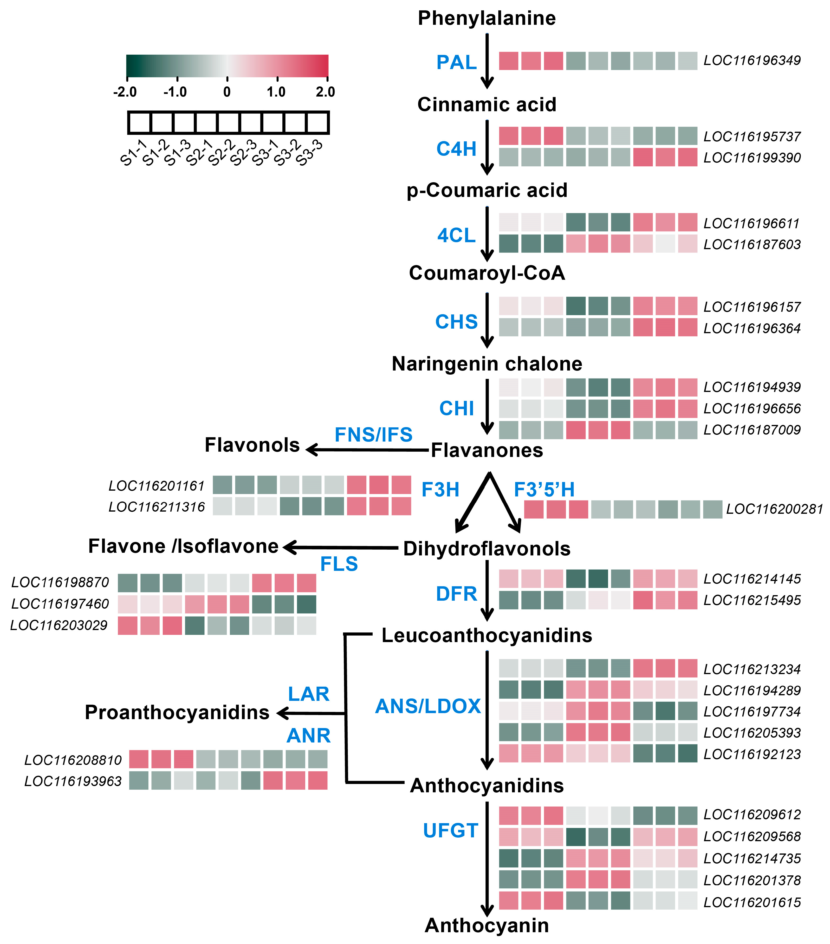 Plants 13 02903 g003