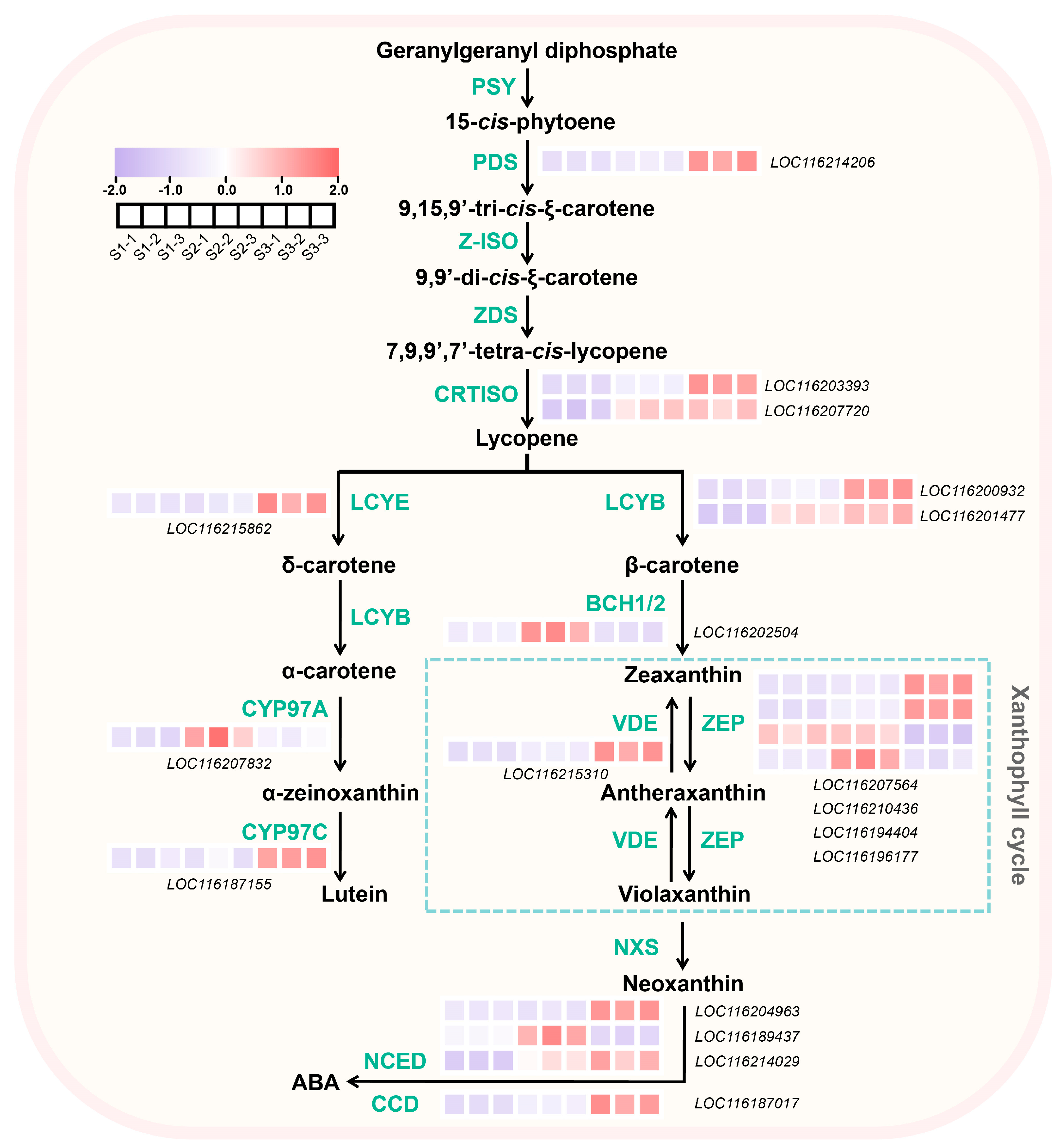 Plants 13 02903 g004
