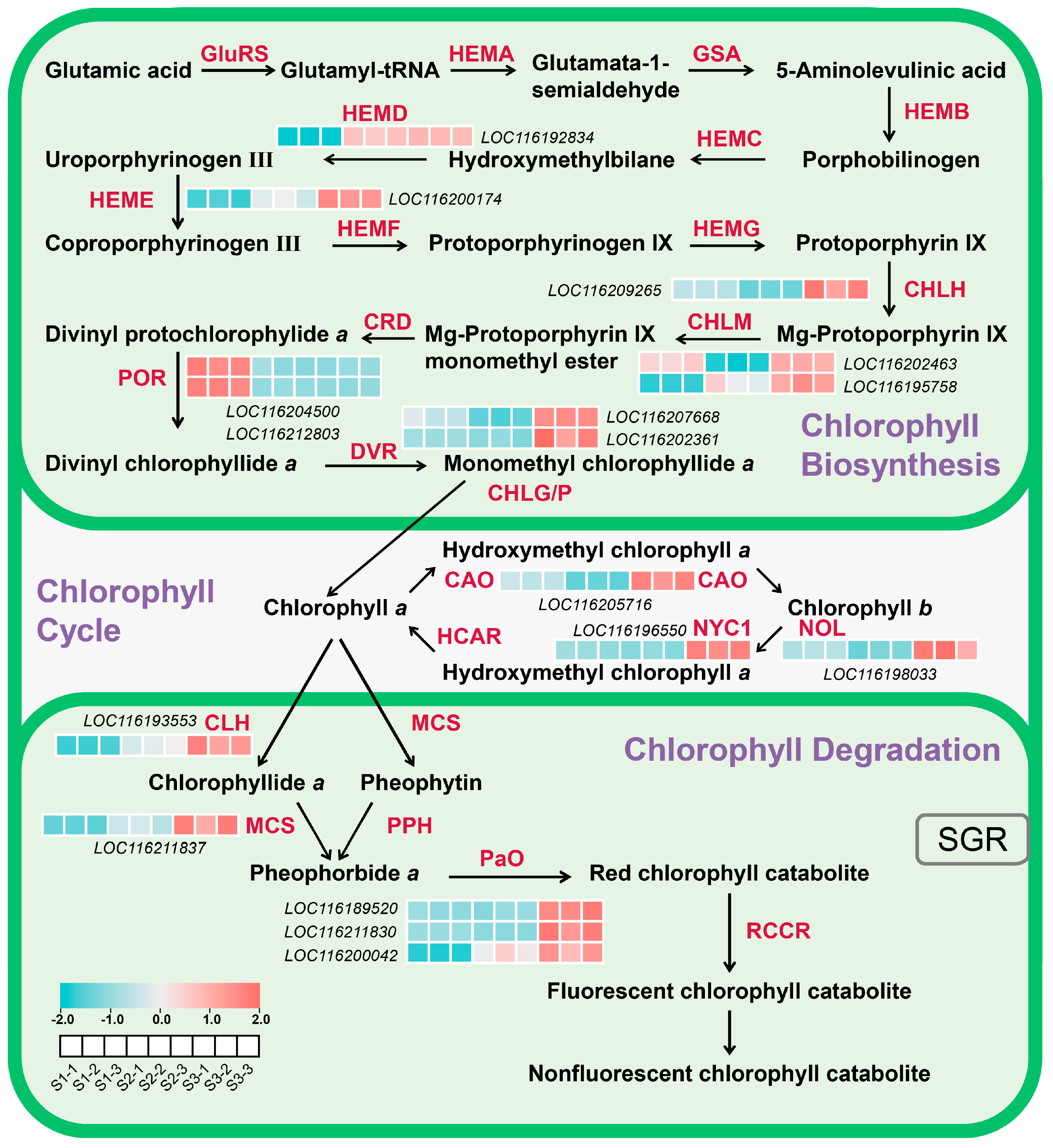 Plants 13 02903 g005