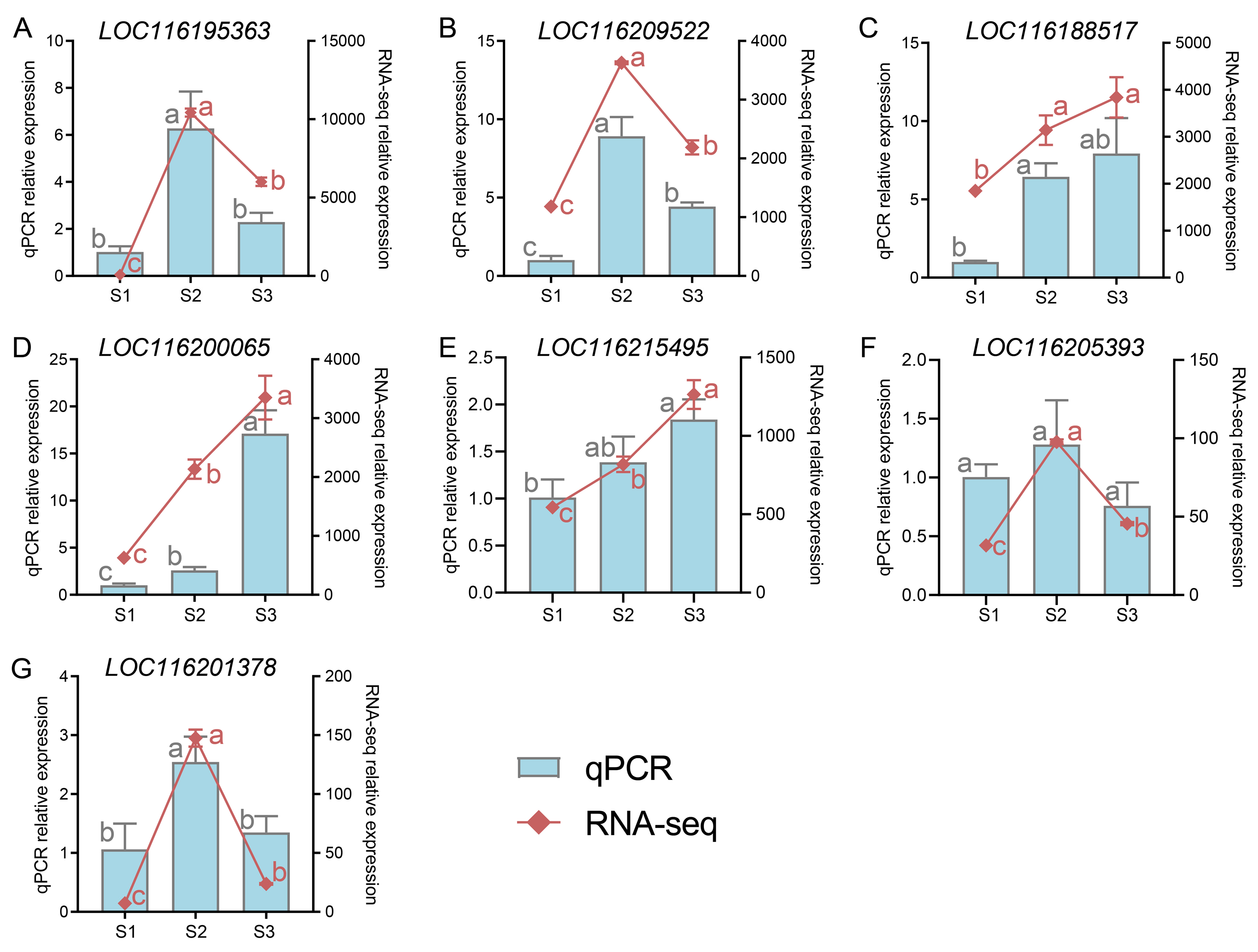Plants 13 02903 g007