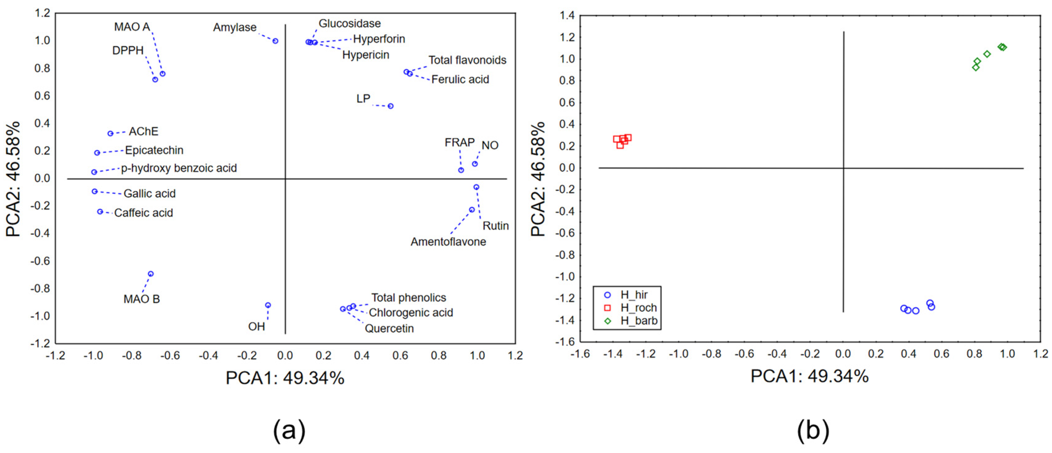 Plants 13 02905 g001