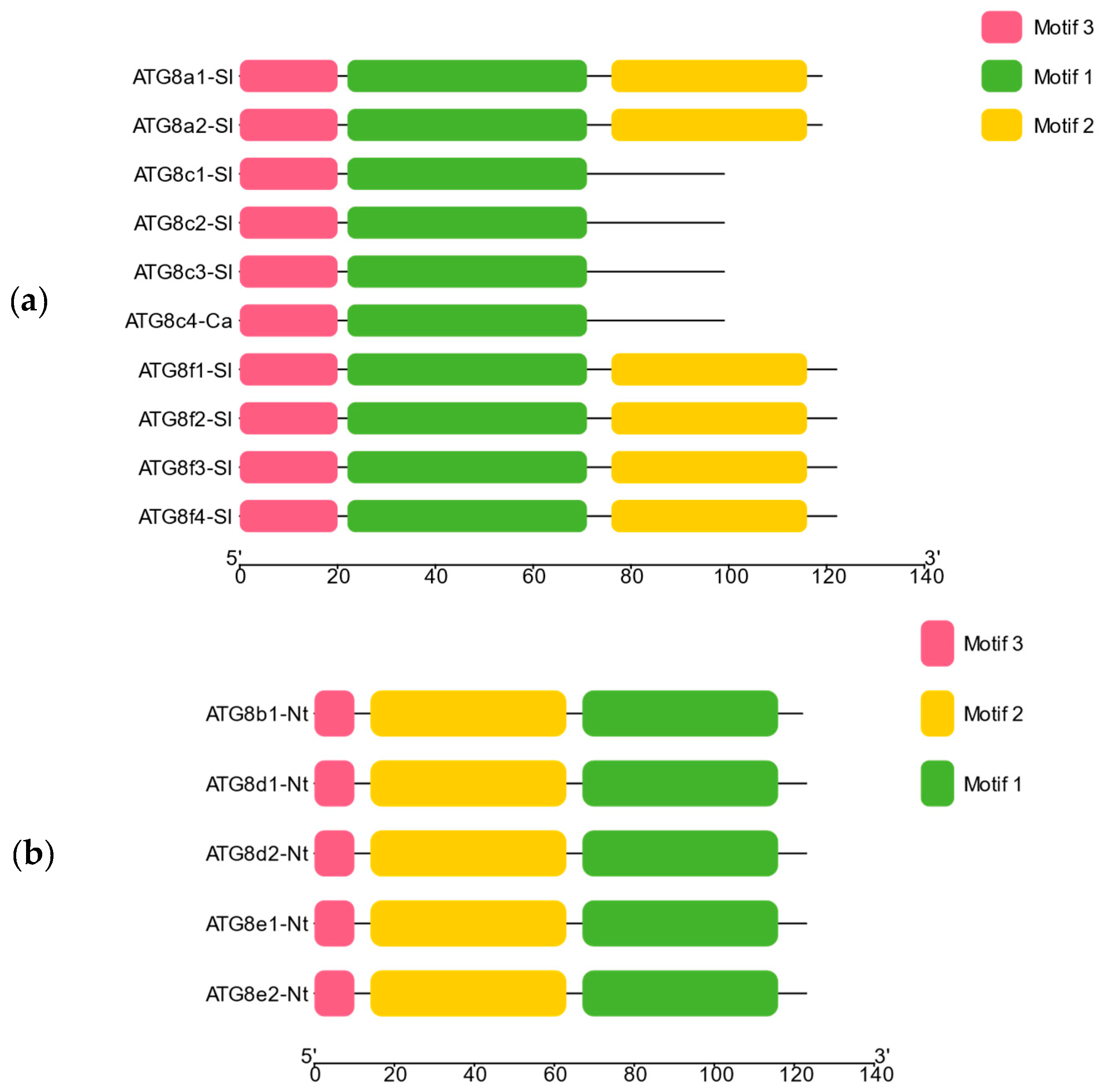 Plants 13 02924 g004