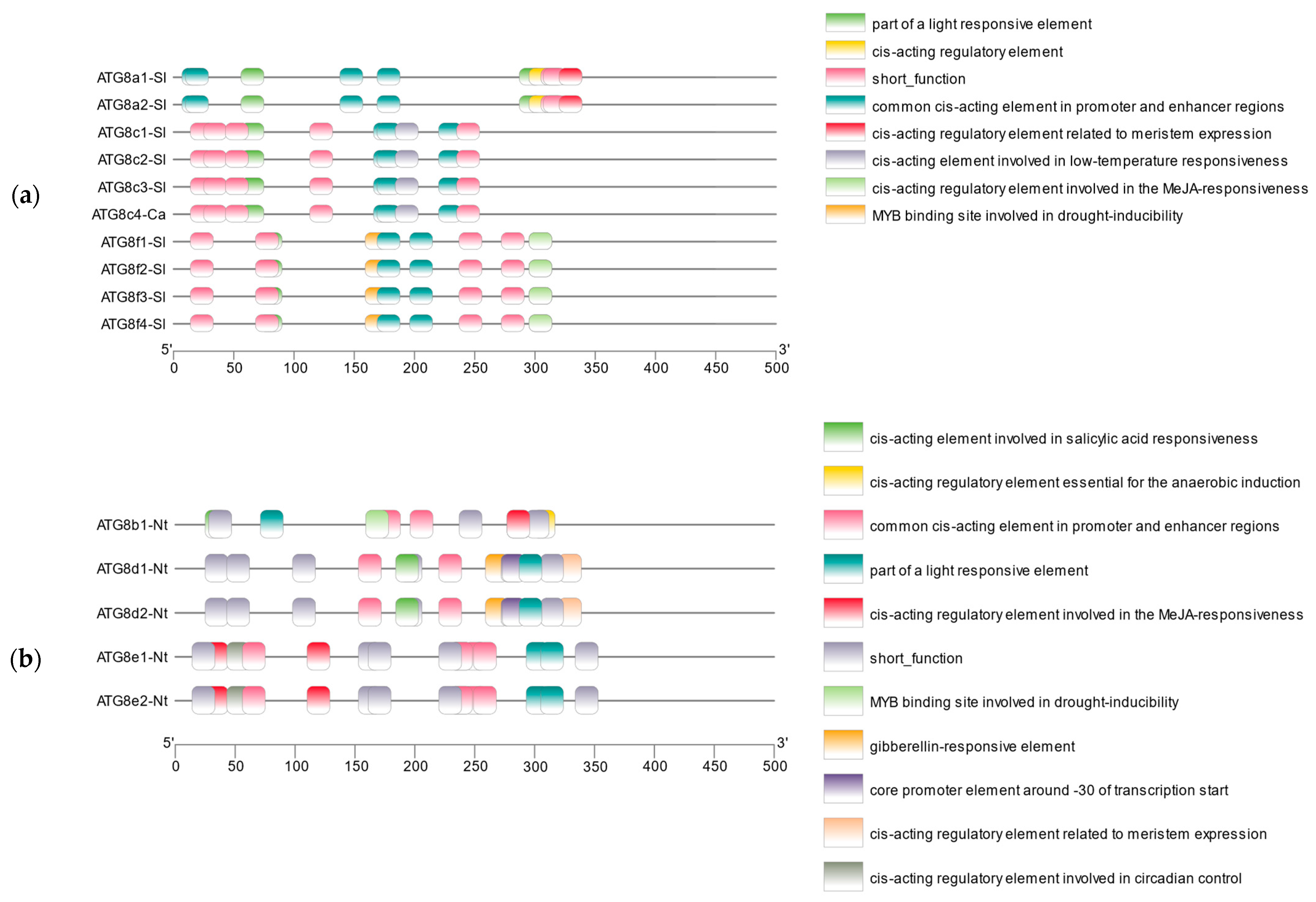 Plants 13 02924 g005