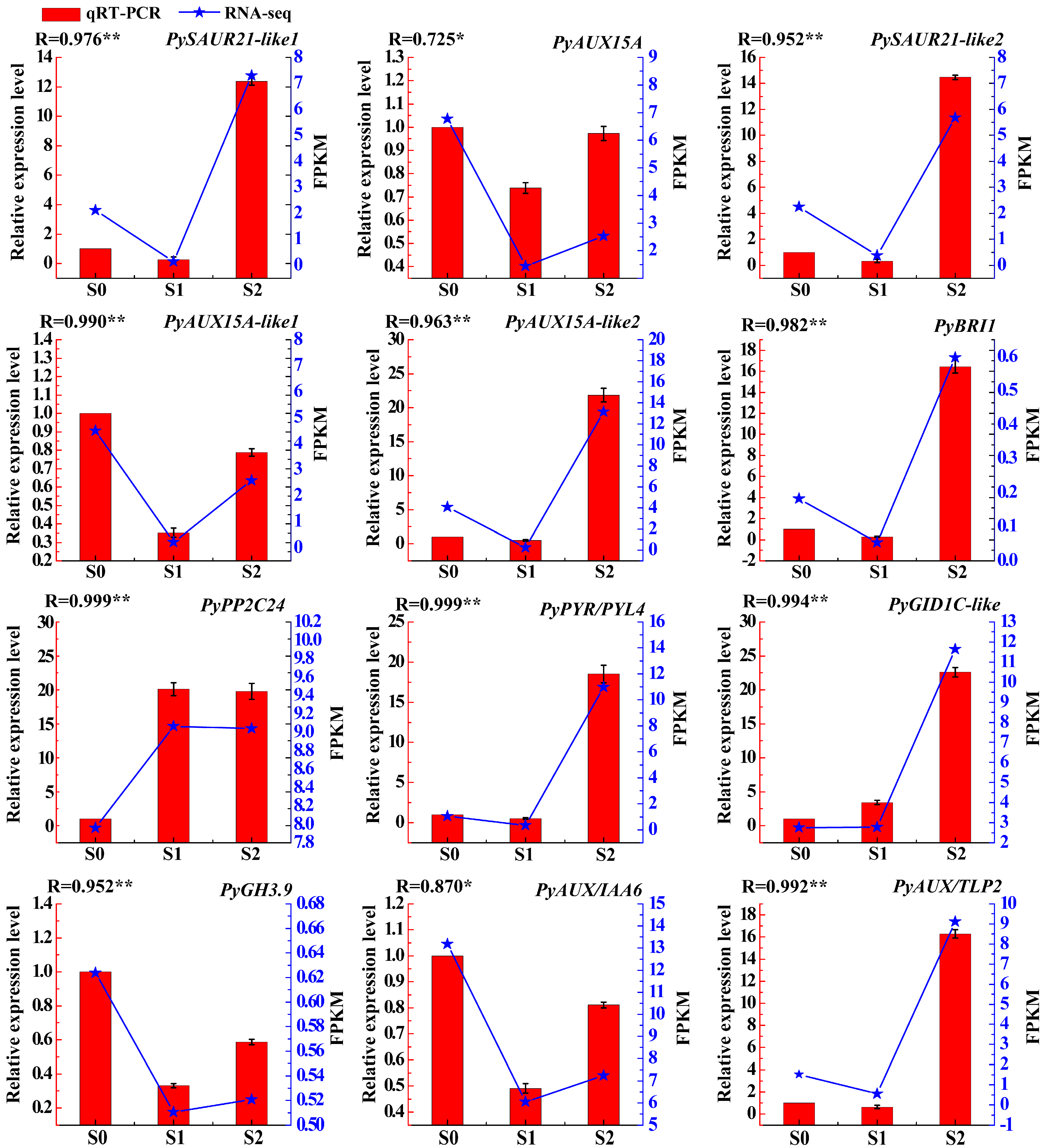 Plants 13 02928 g006 Plants 13 02928 g006