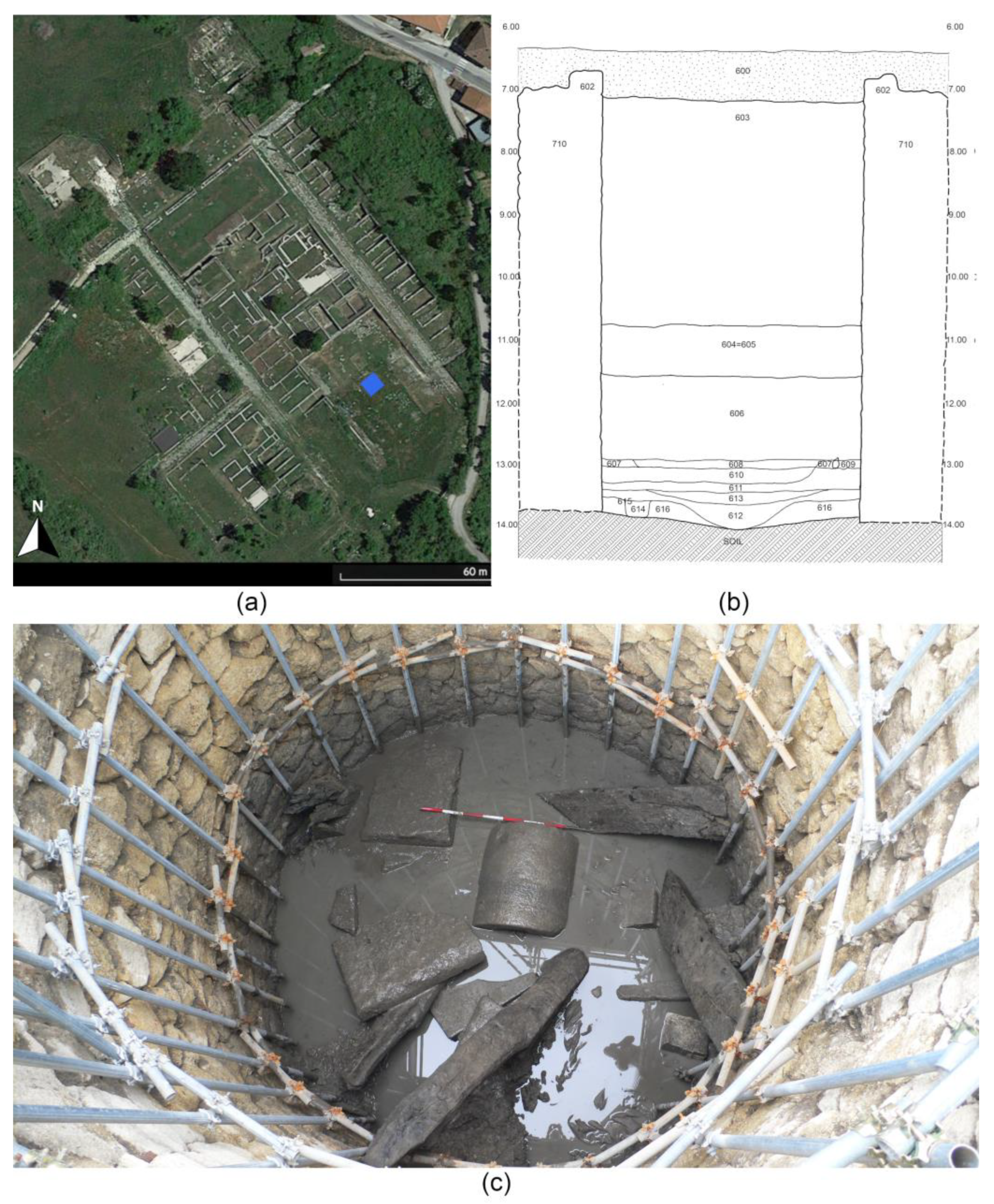 Plants 13 02930 g002 Plants 13 02930 g002