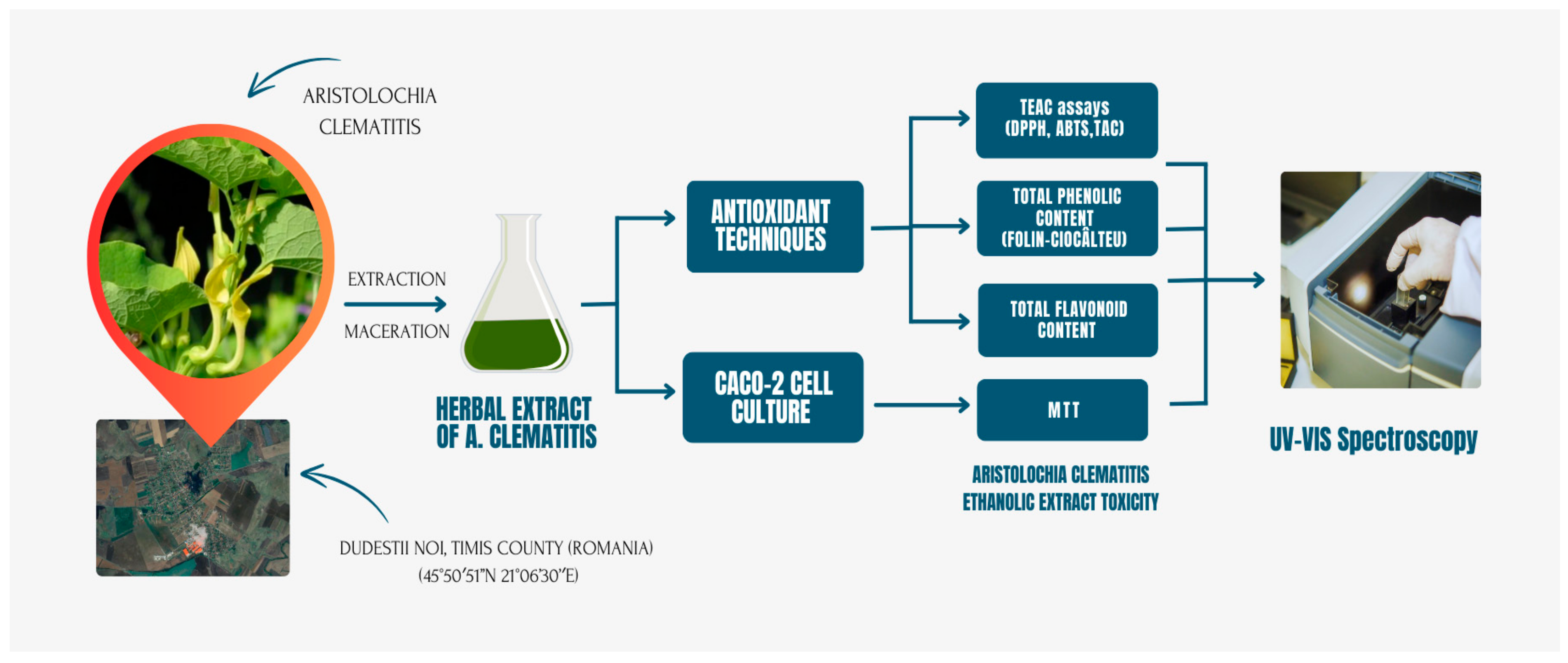 Plants 13 02987 g001