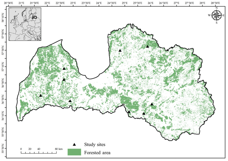 Plants 13 03019 g004