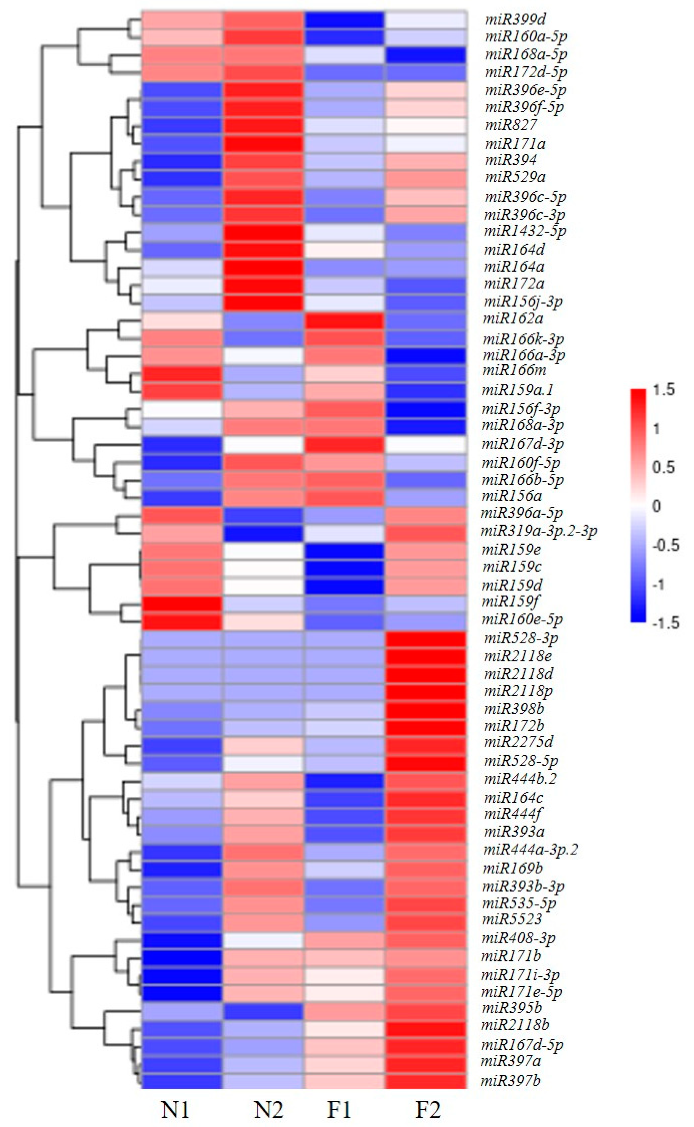 Plants 13 03033 g003