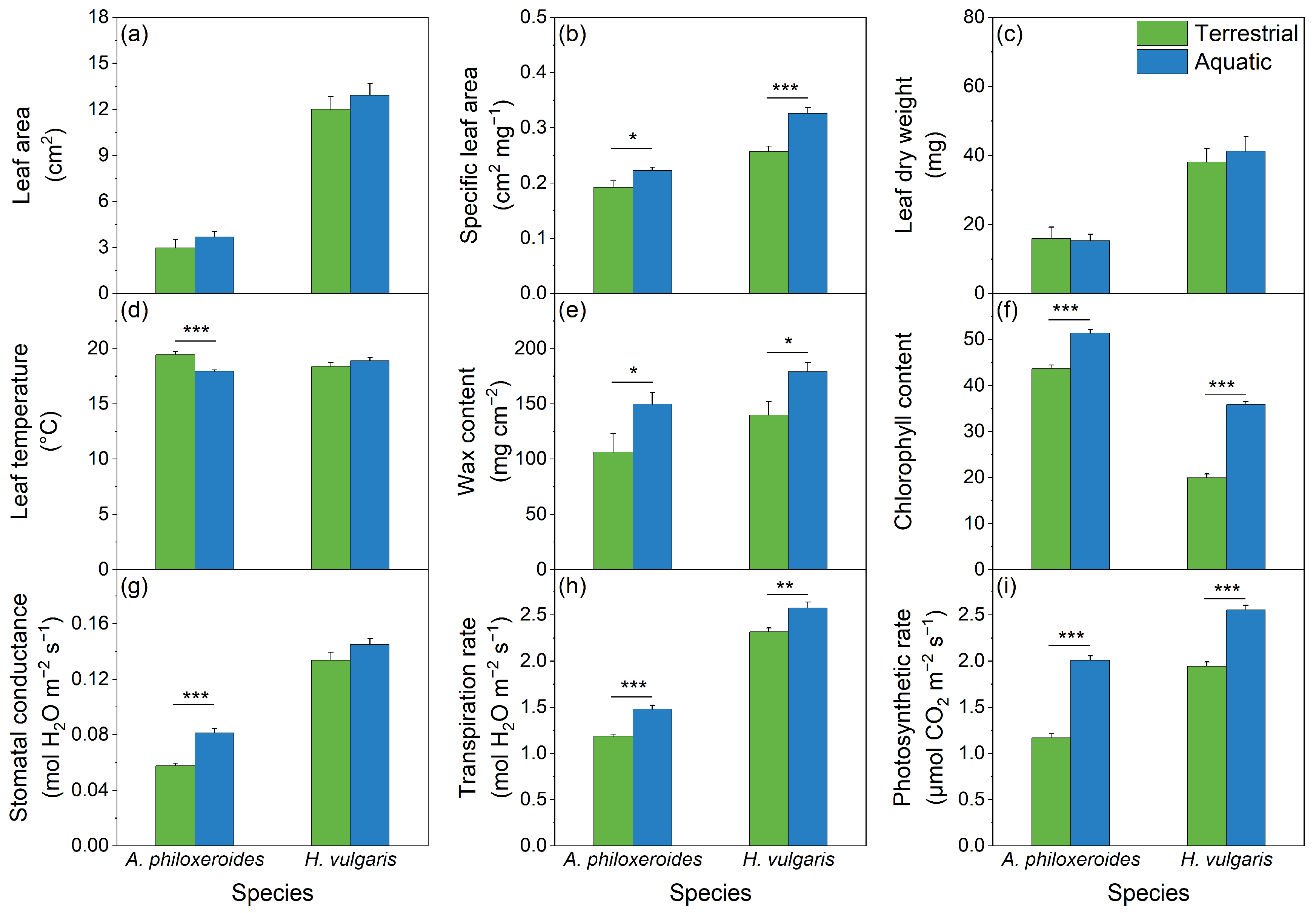 Plants 13 03056 g006