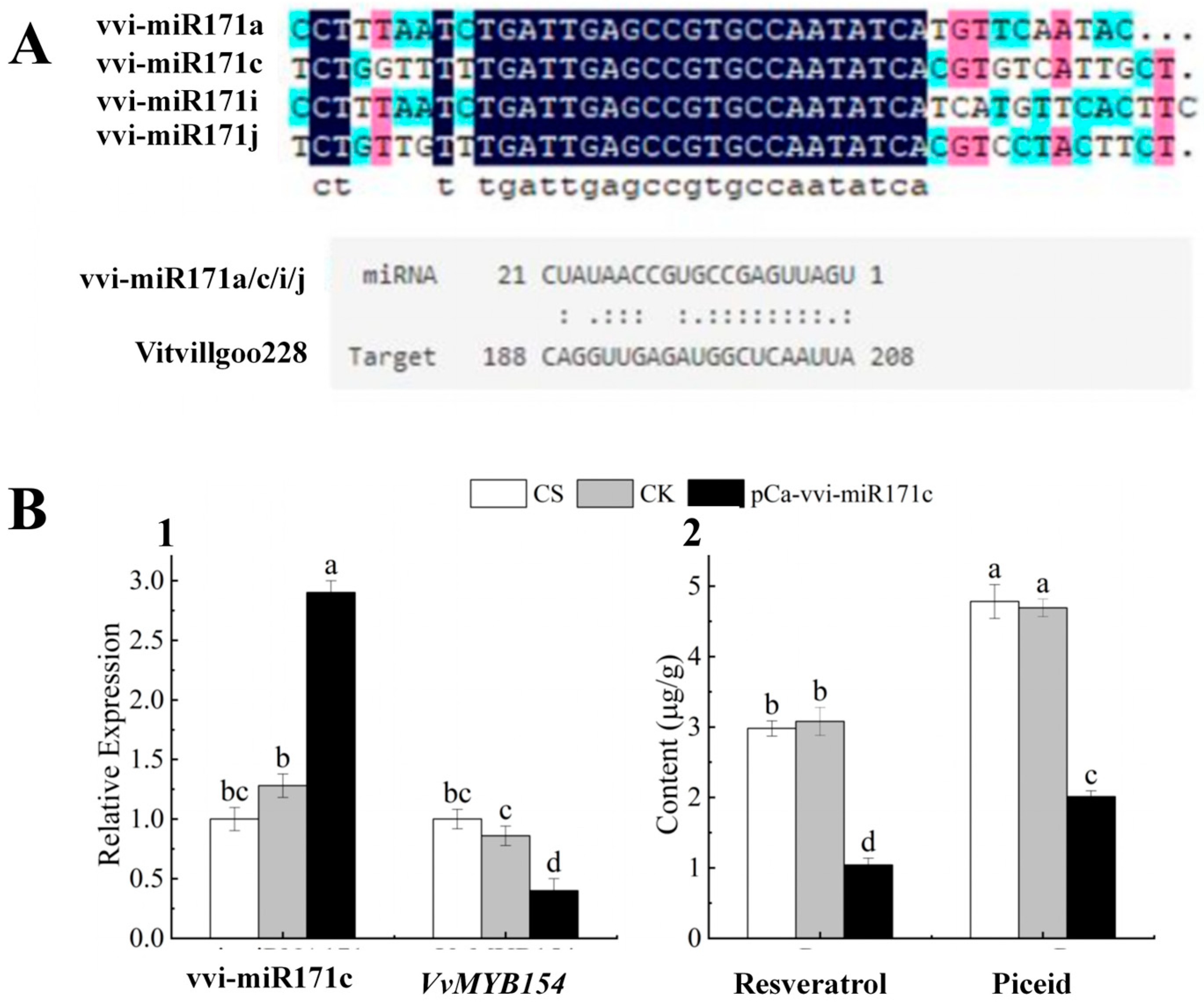 Plants 13 03057 g008