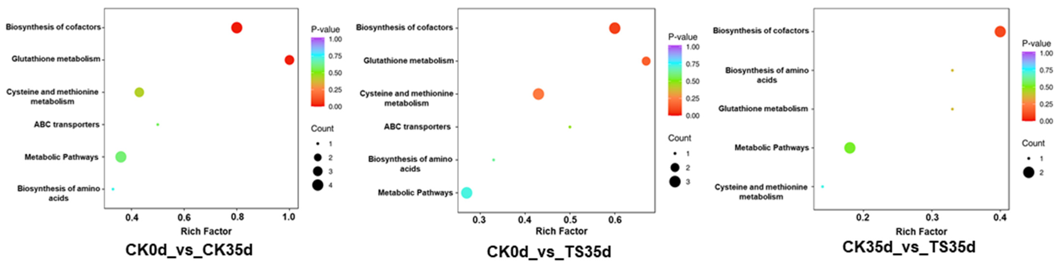 Plants 13 03061 g005