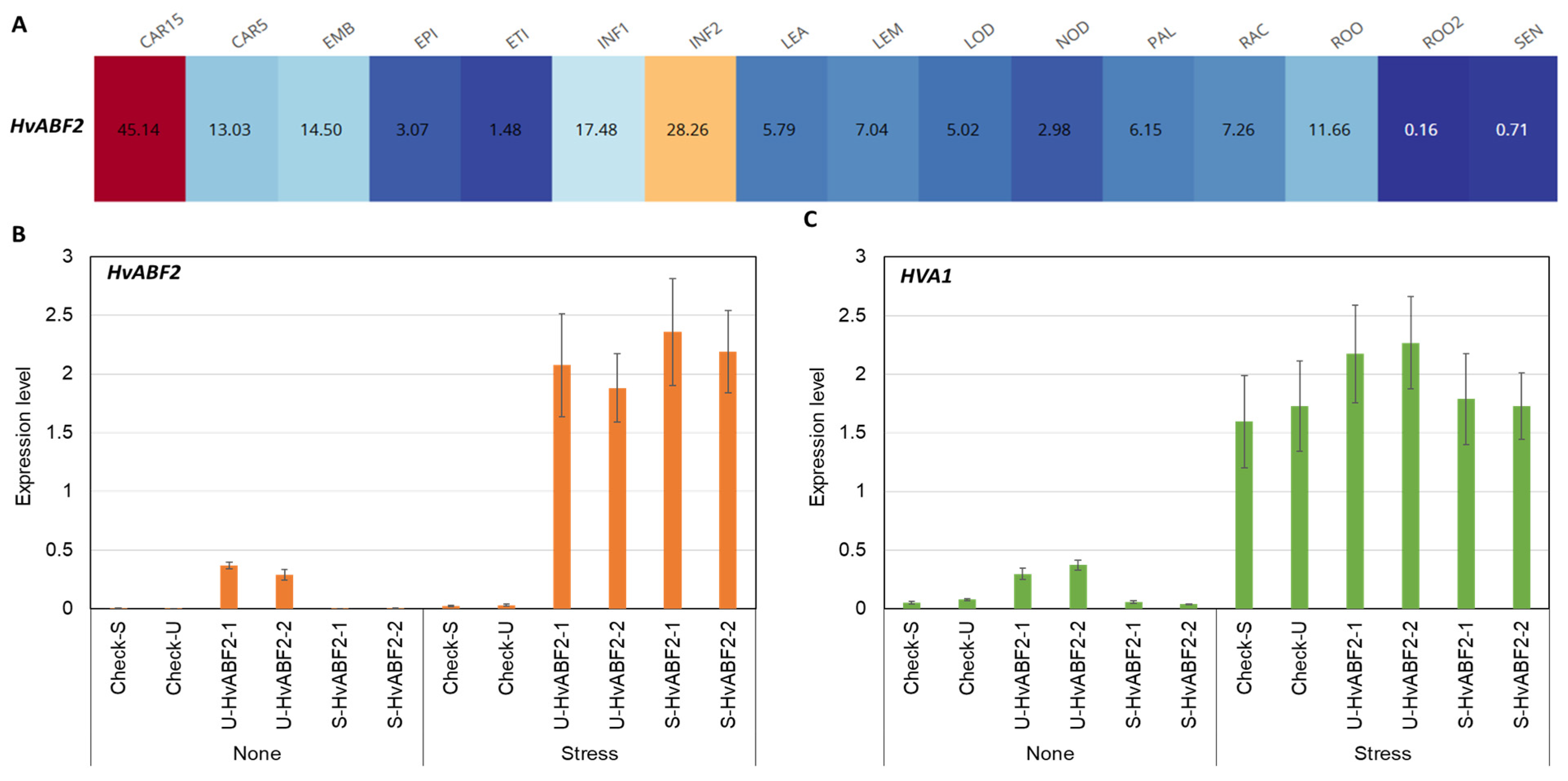 Plants 13 03113 g002