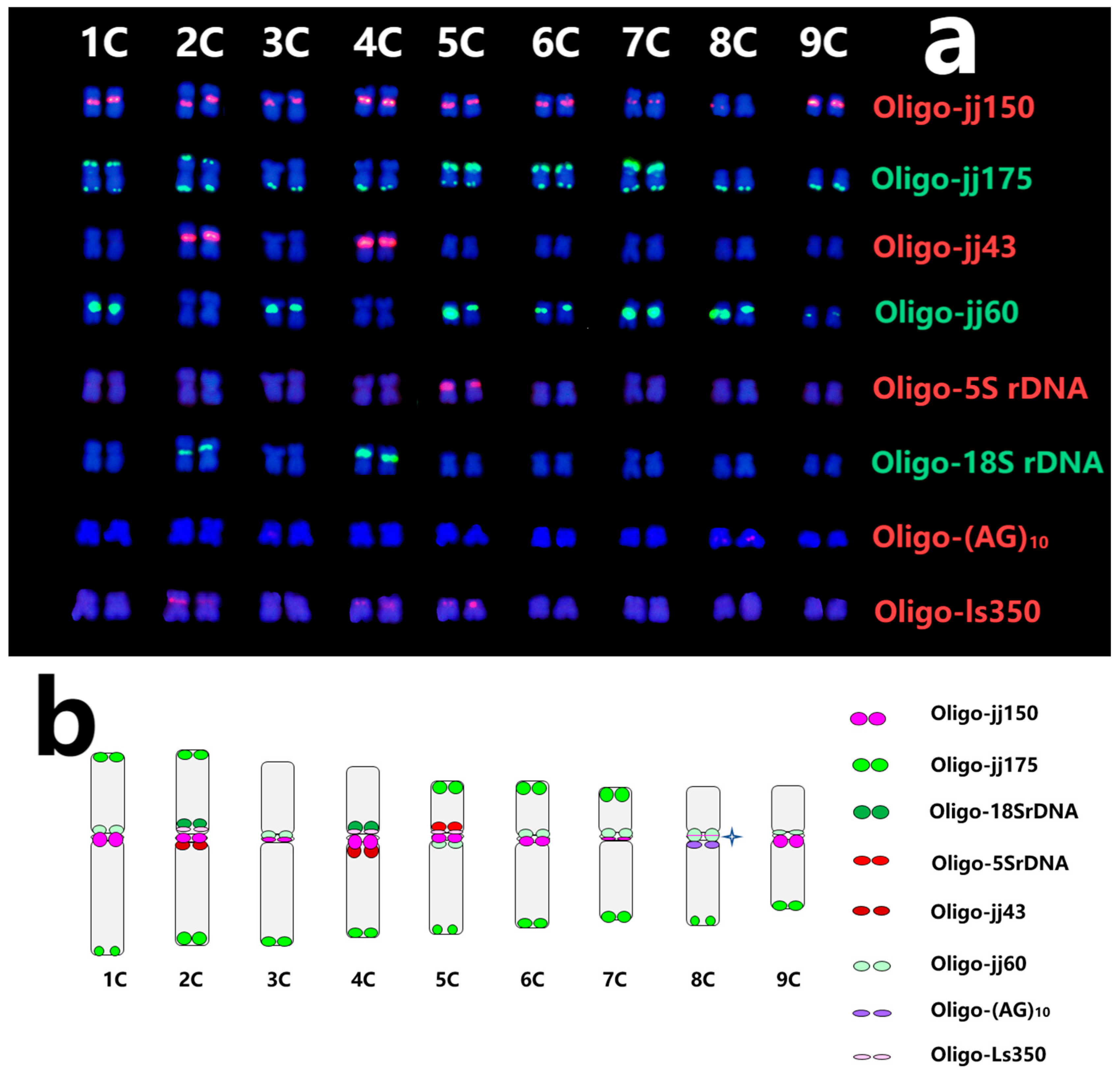 Plants 13 03135 g003