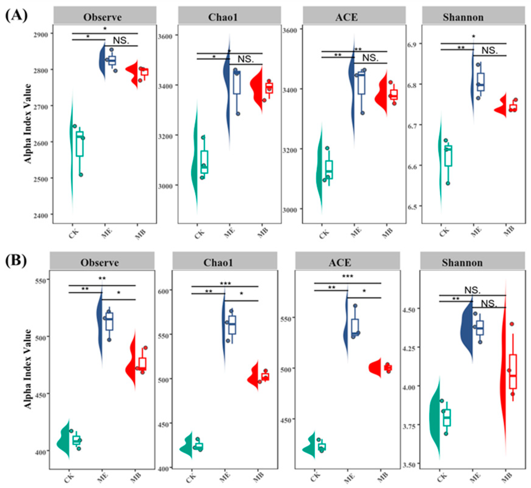 Plants 13 03139 g001
