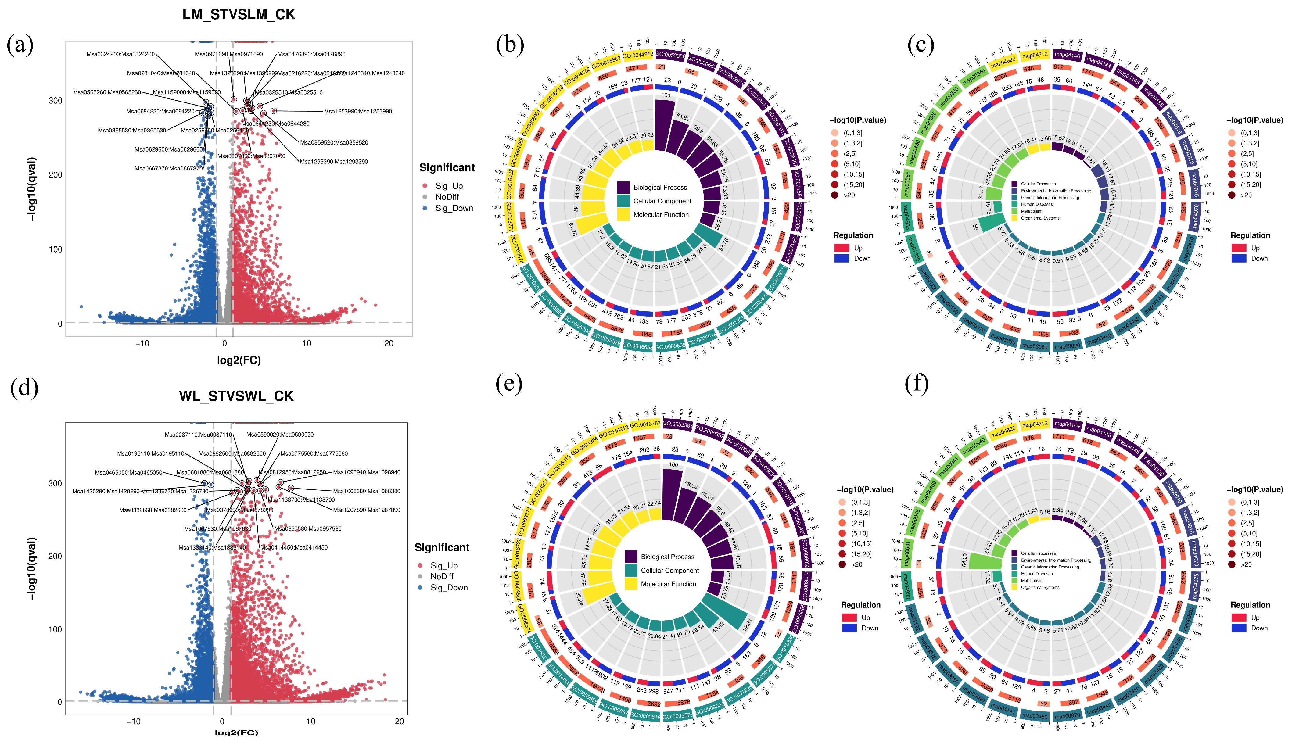 Plants 13 03141 g011