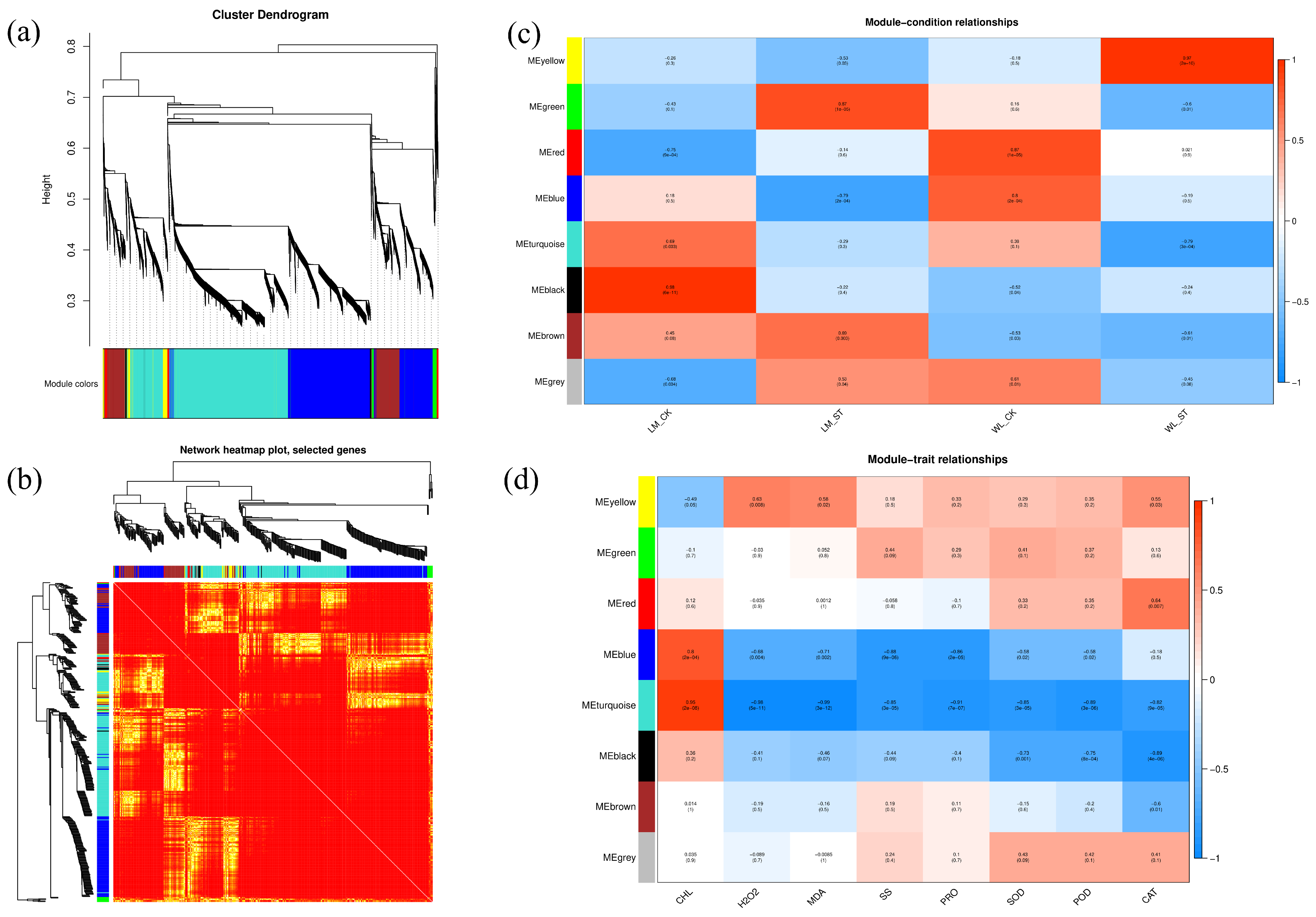 Plants 13 03141 g014