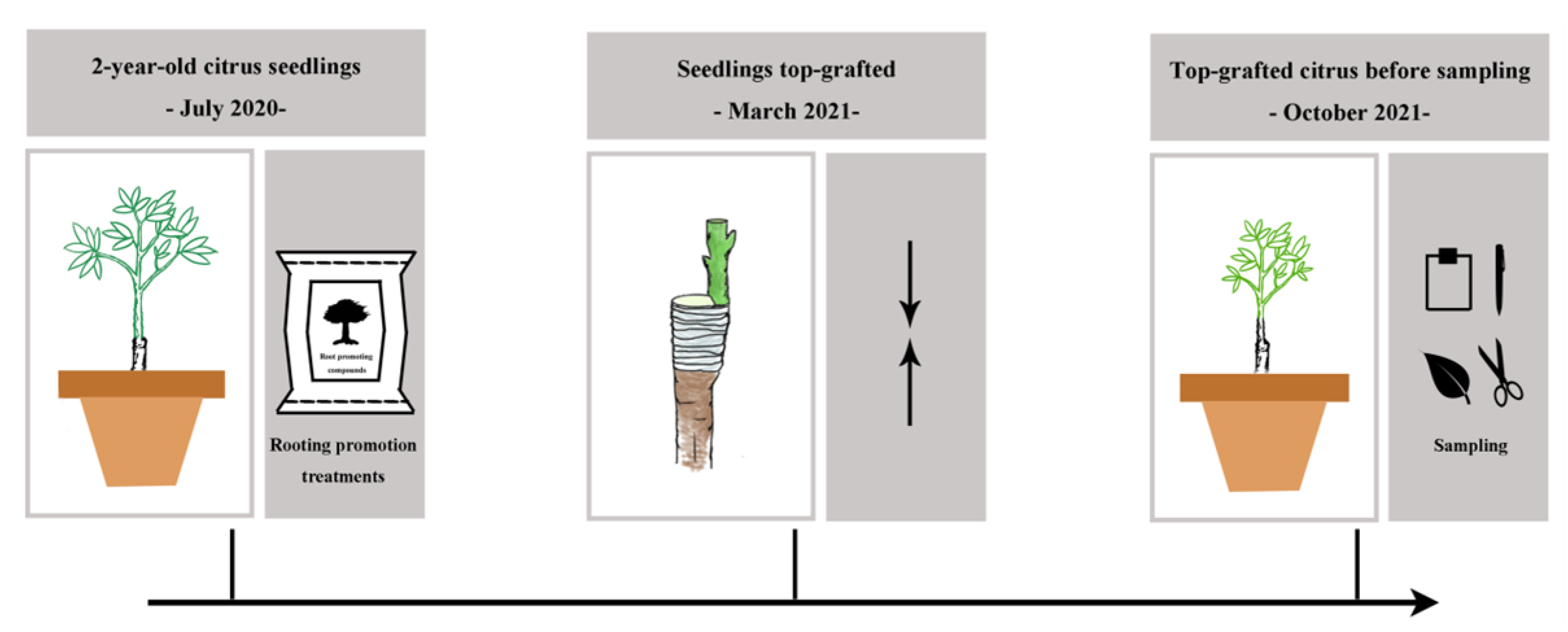 Plants 13 03159 g009