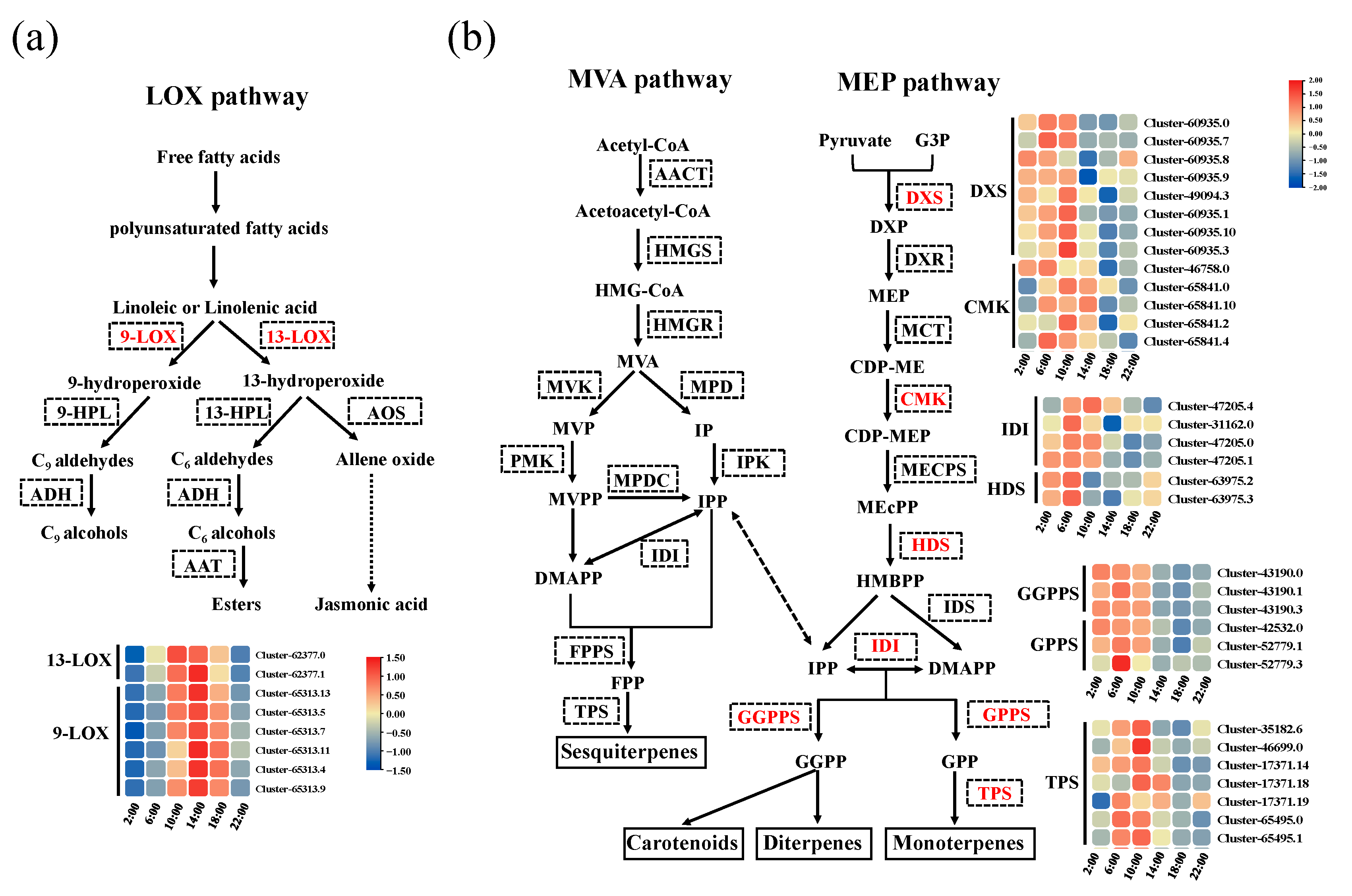 Plants 13 03232 g003