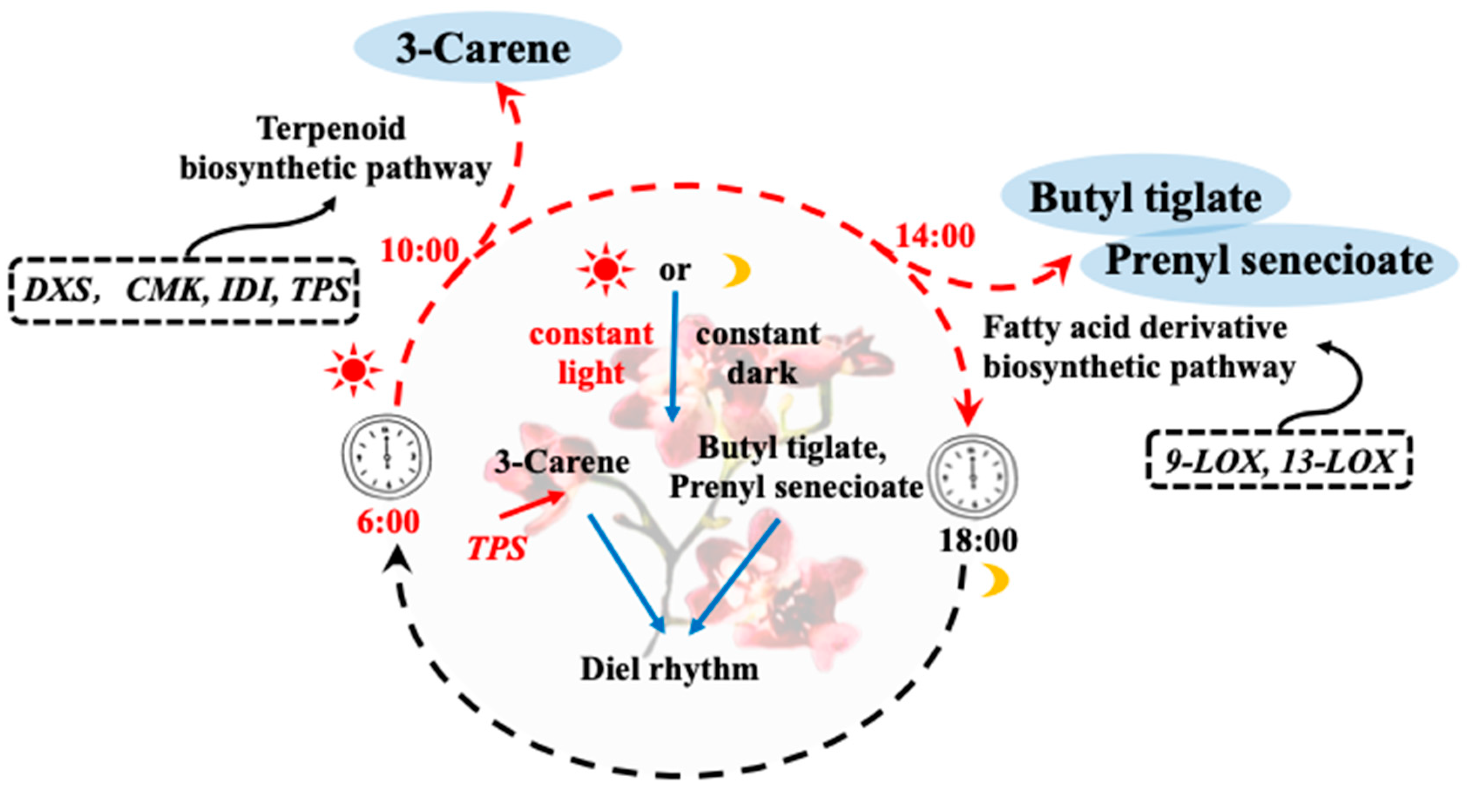 Plants 13 03232 g008