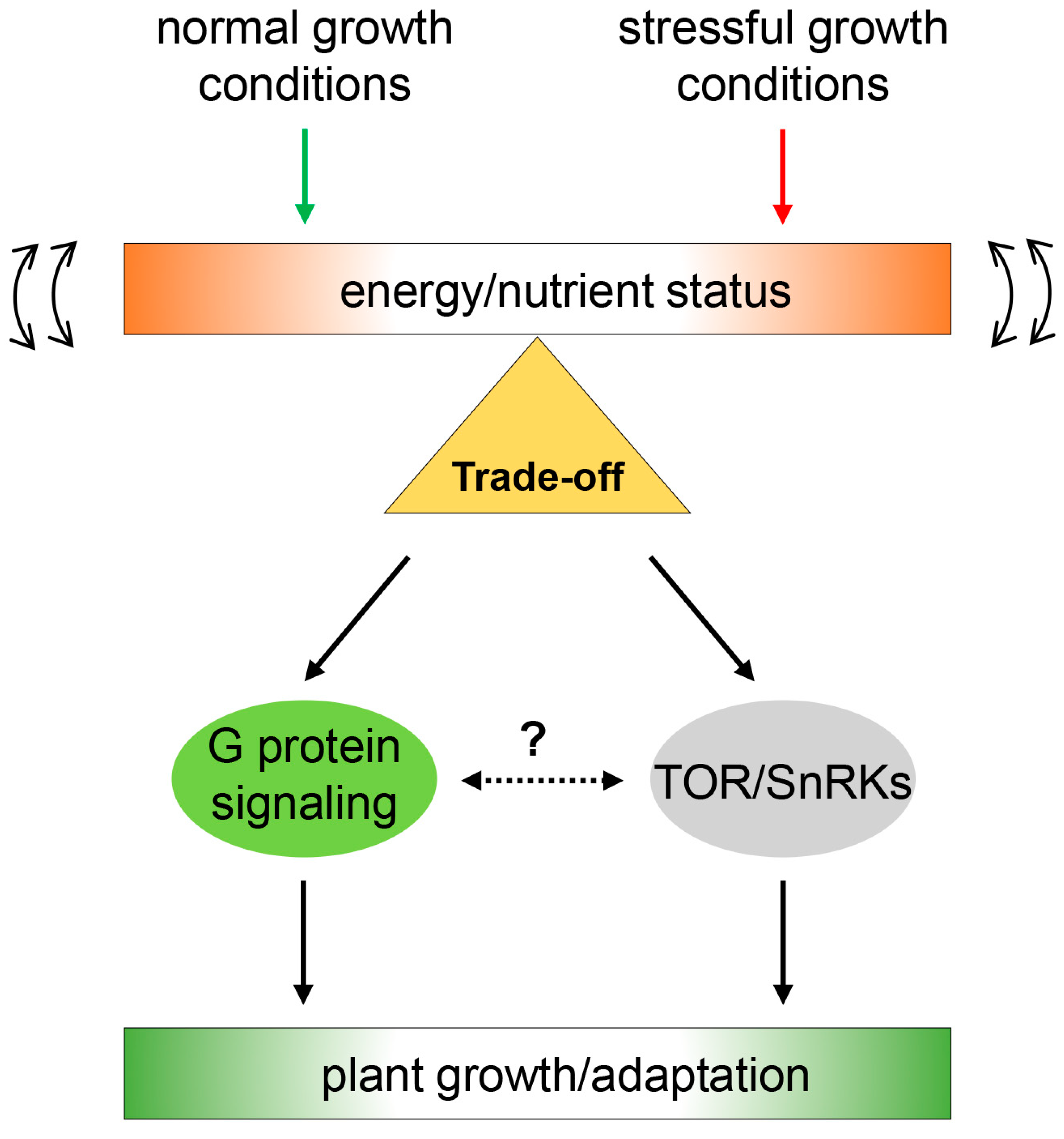 Plants 13 03239 g003