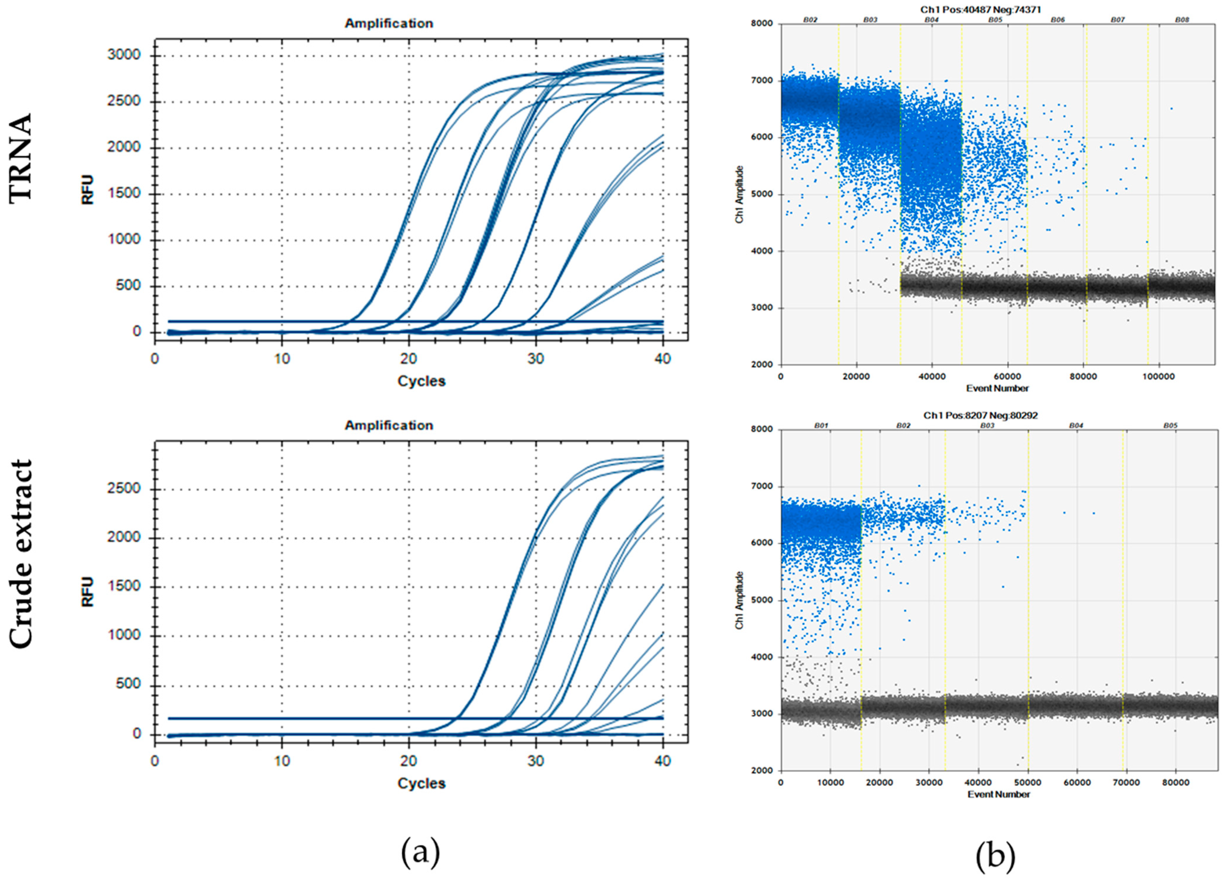 Plants 13 03276 g003