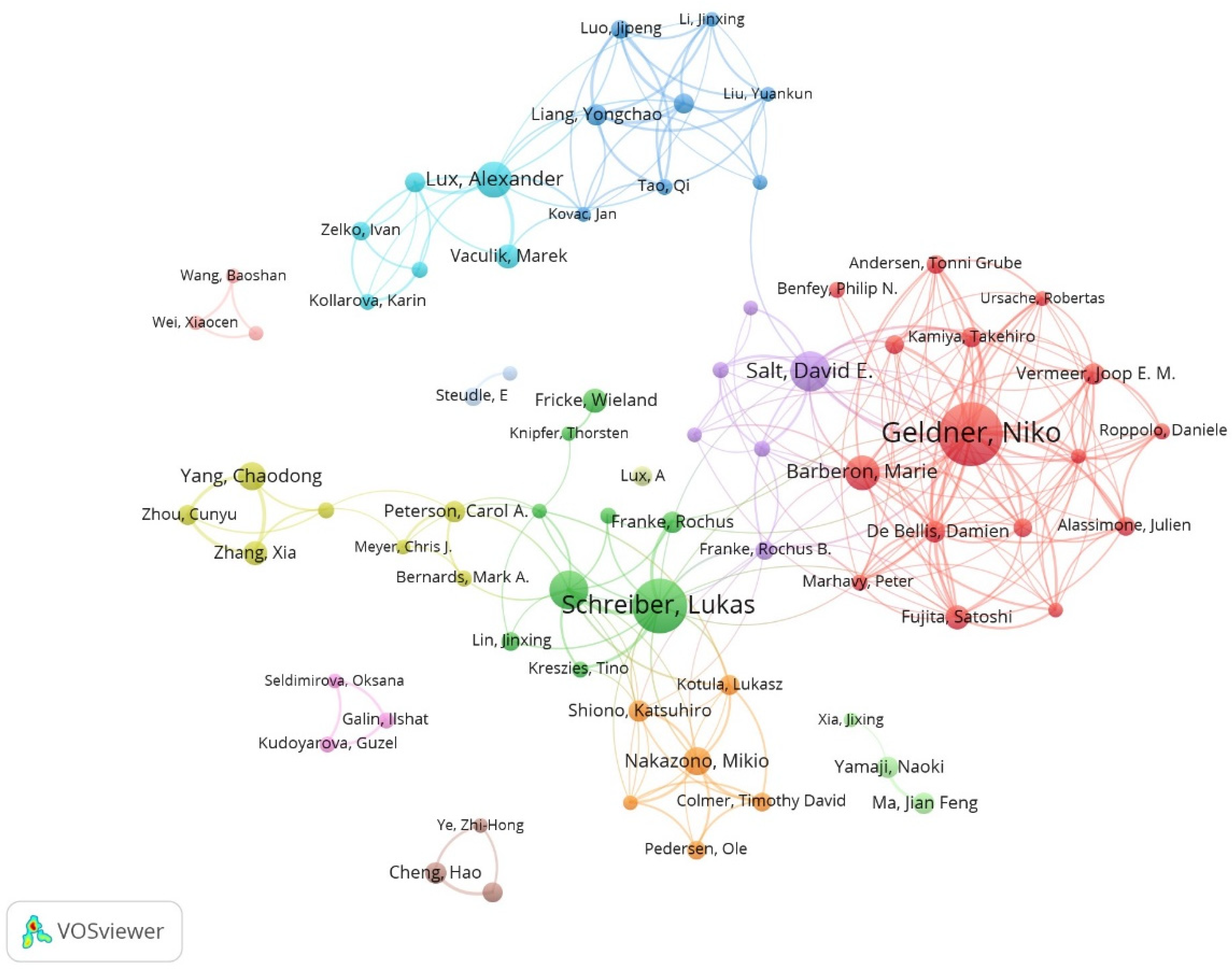 Plants 13 03285 g004